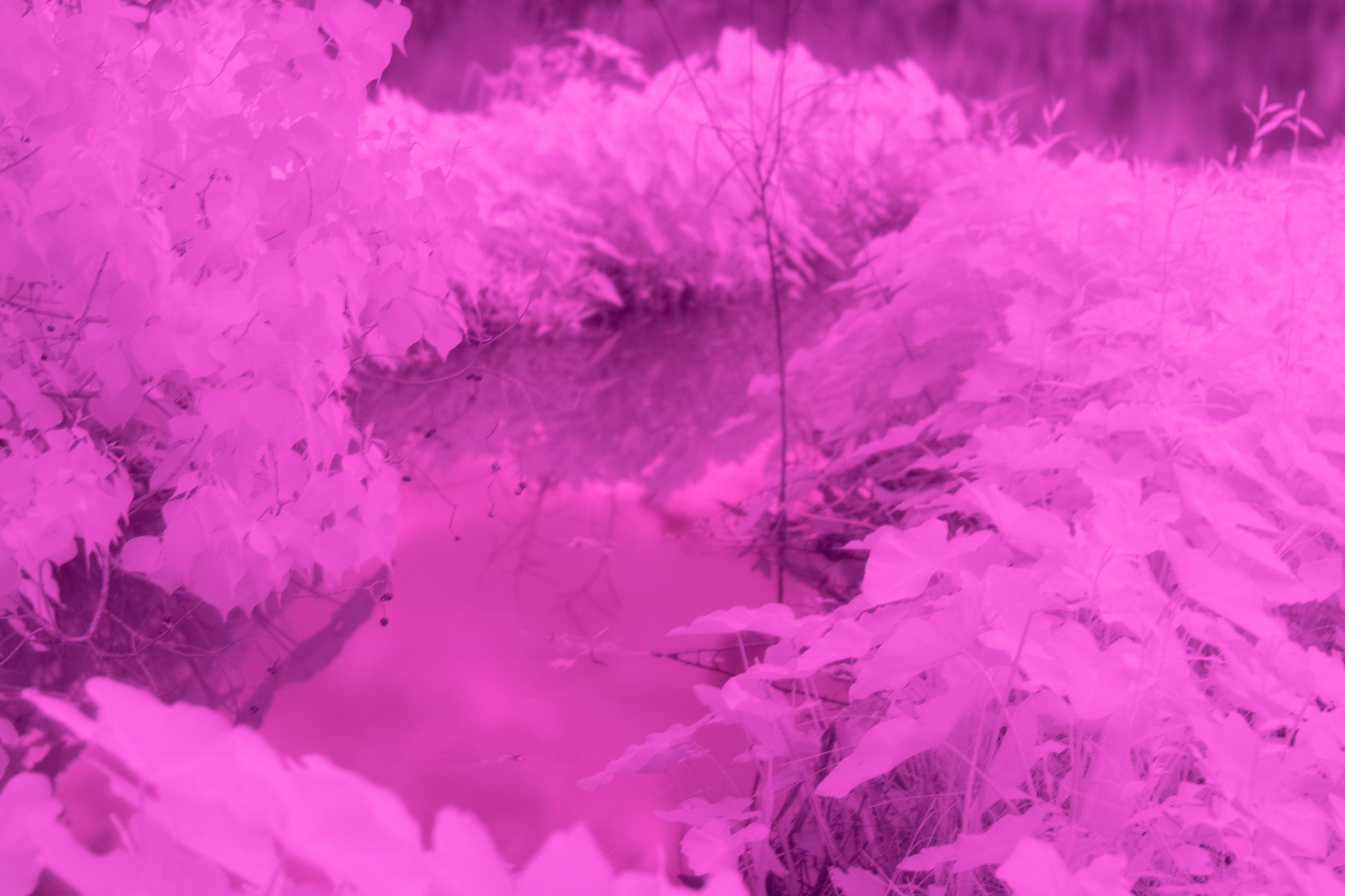 infrared filter