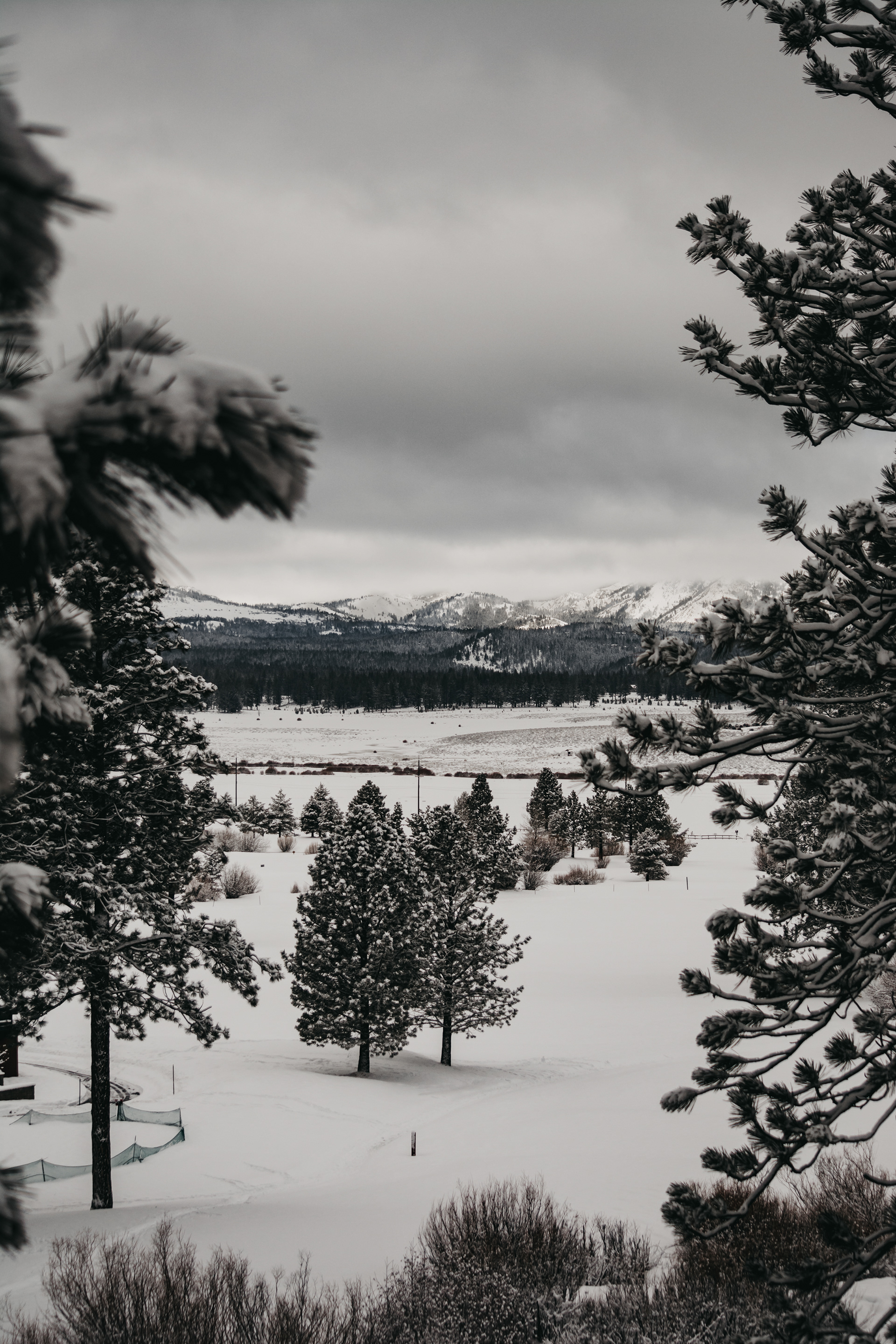 Tahoe in the Snow