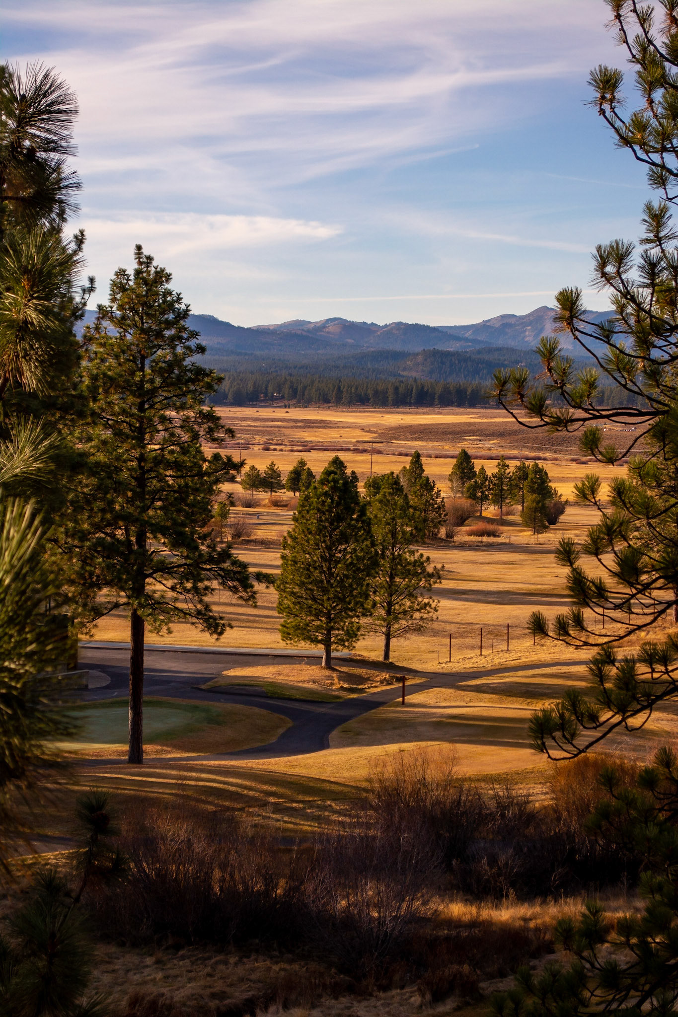 Tahoe Yellow and Blue