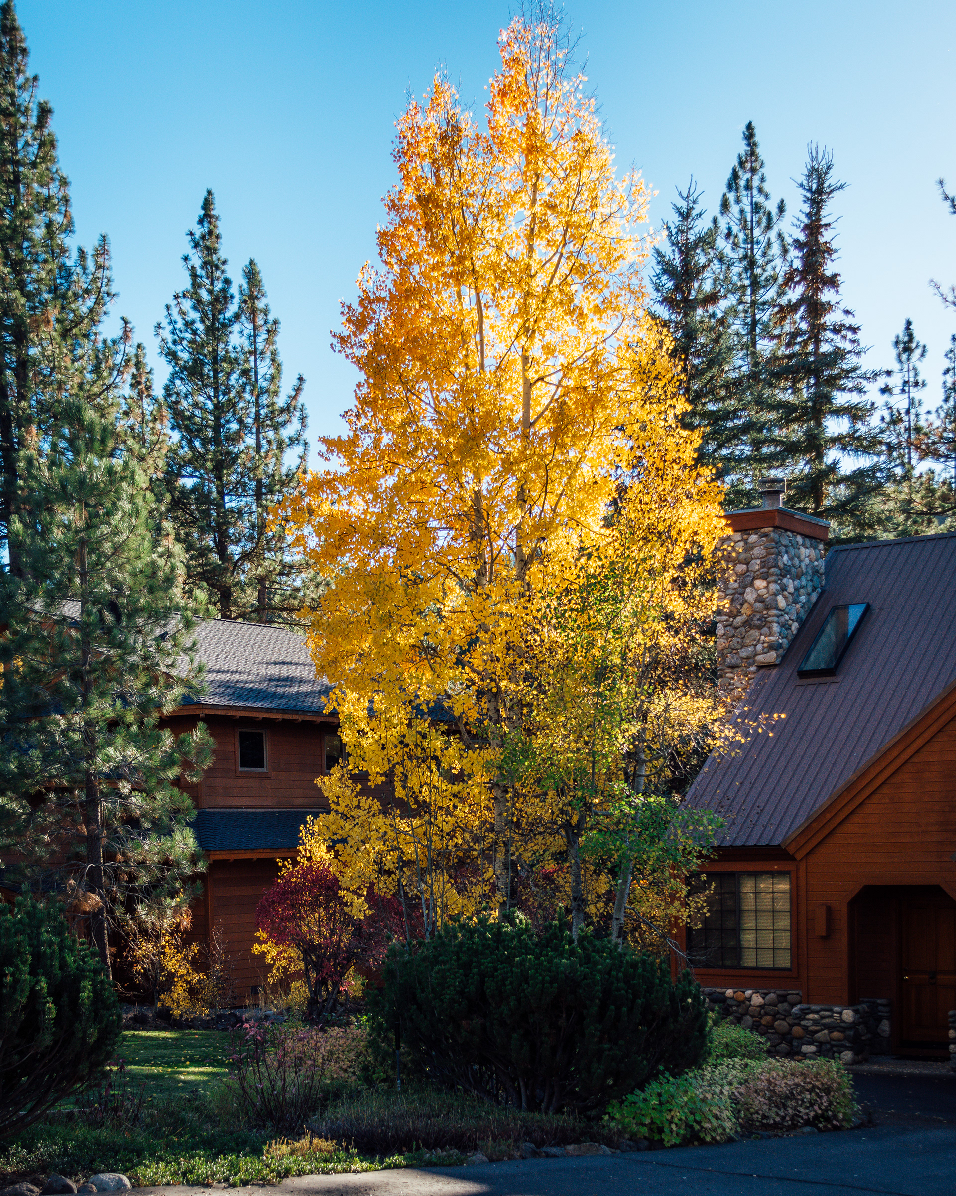 Tahoe During The Fall