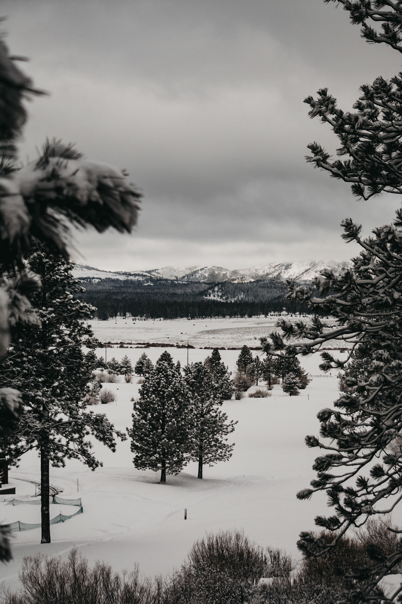 Lake Tahoe in the Snow