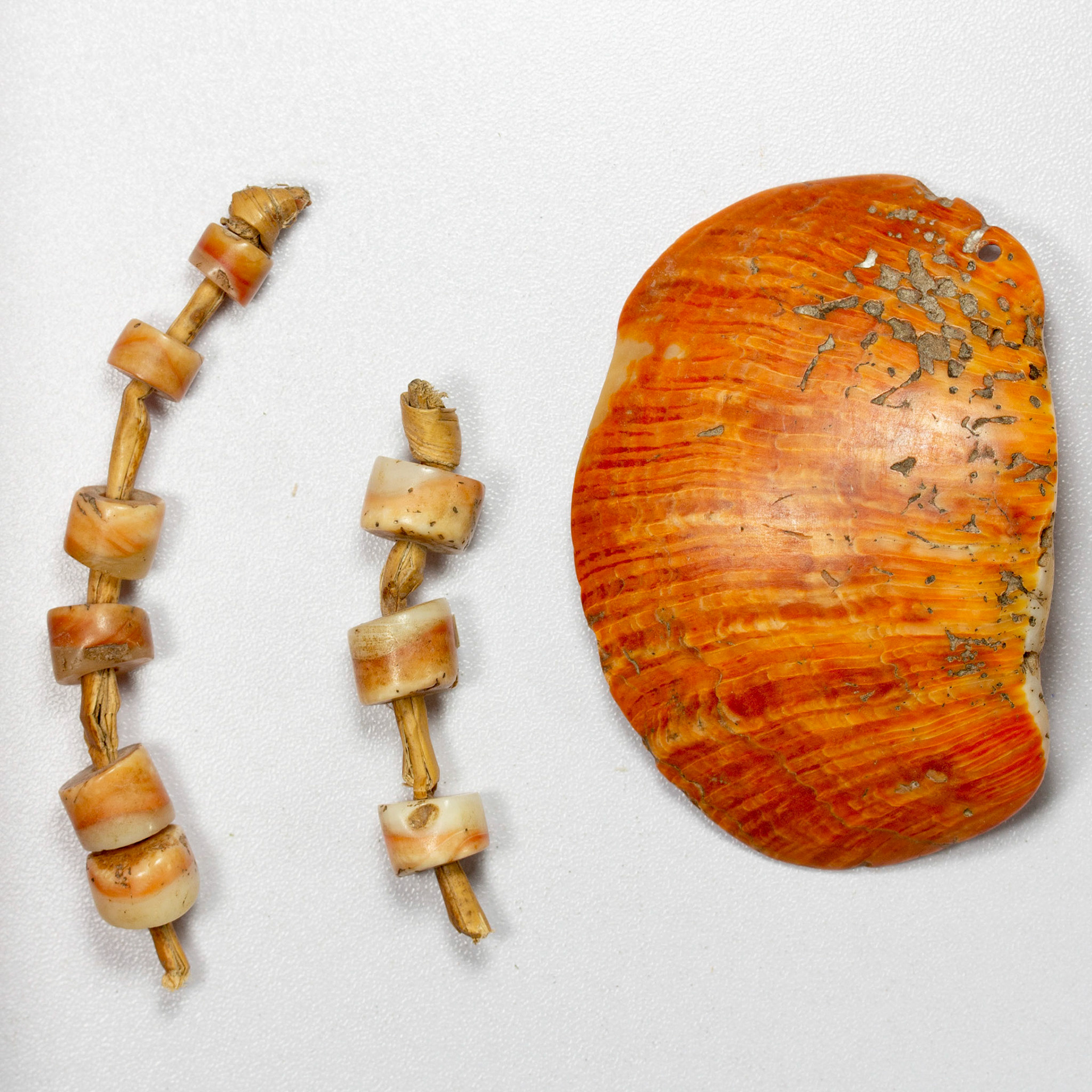 Papua New Guinea (date unknown)