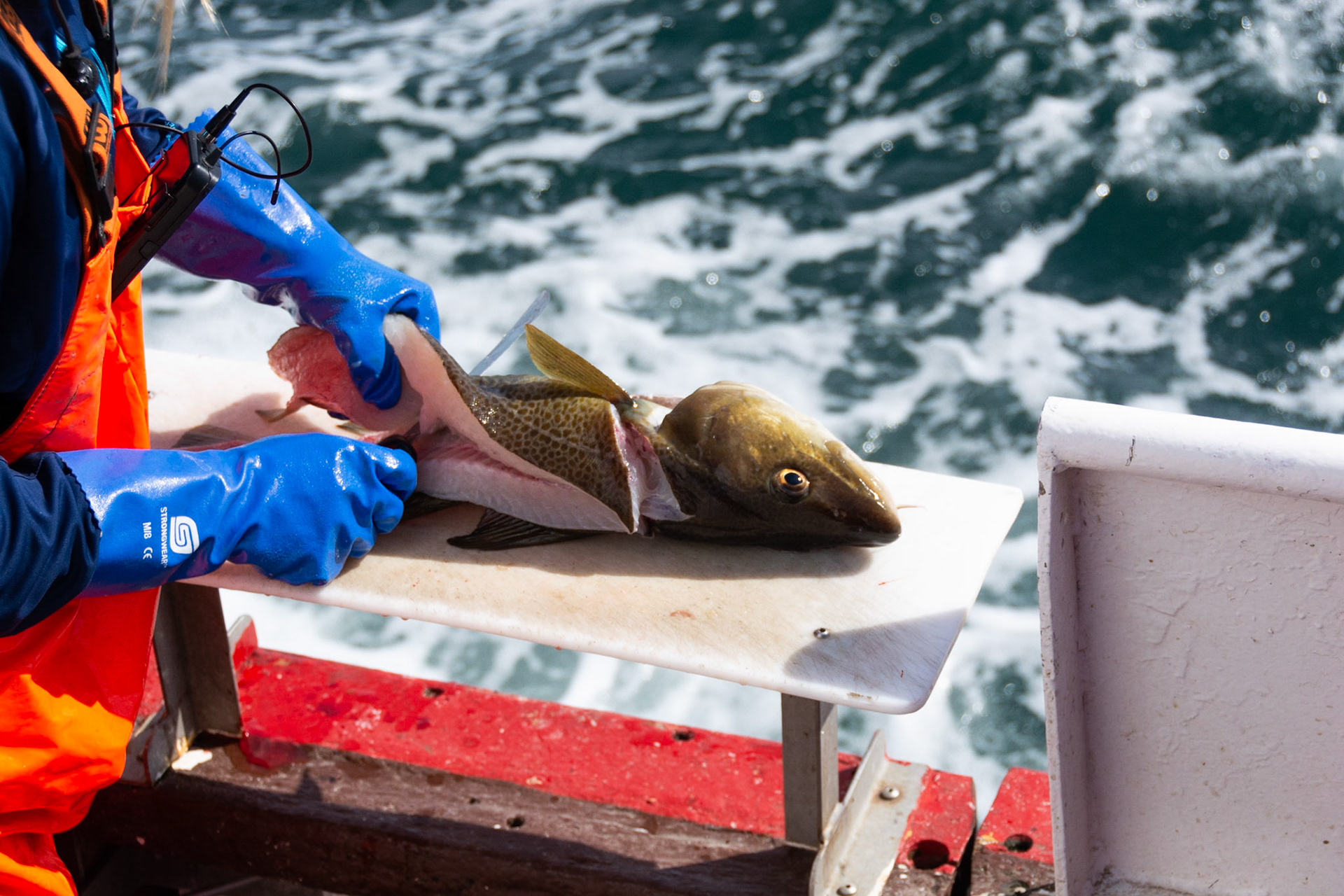 Finishing in Iceland