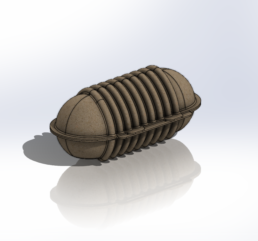 Seed Shell 3D Model