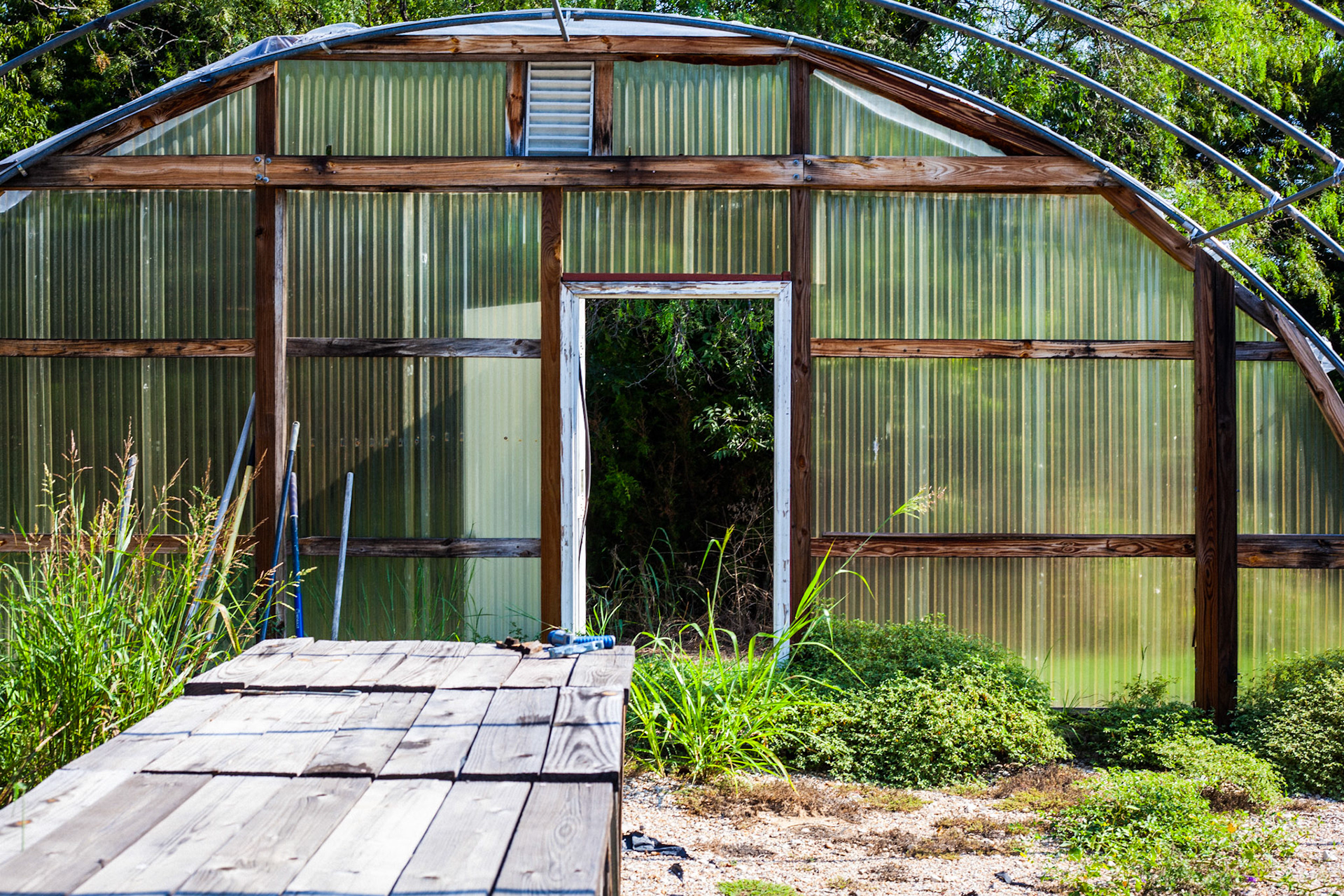 Greenhouse, Denton TX.