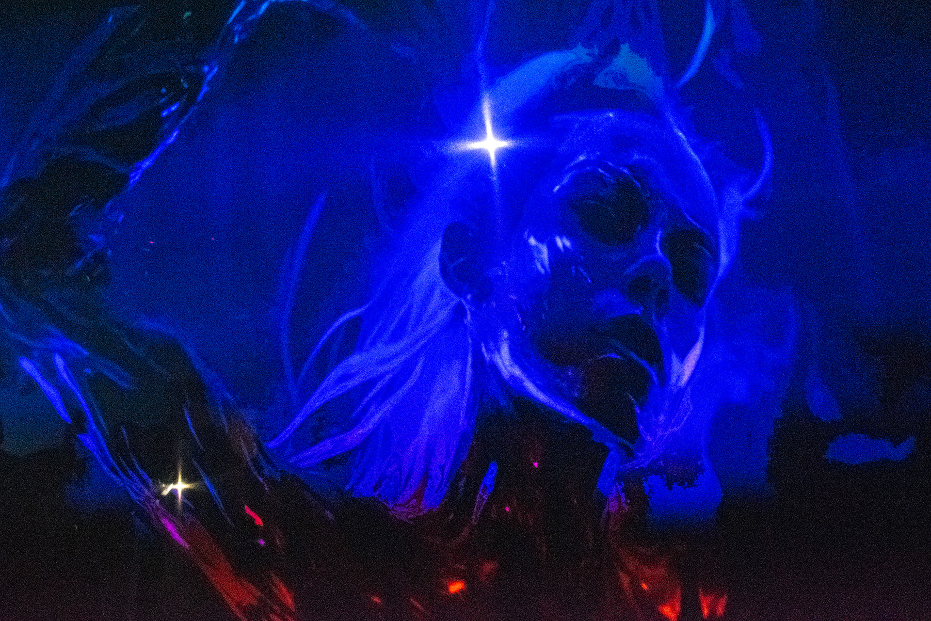 JACK IRVING AMPHITRITE LFW24 ©Loredana Sangiuliano