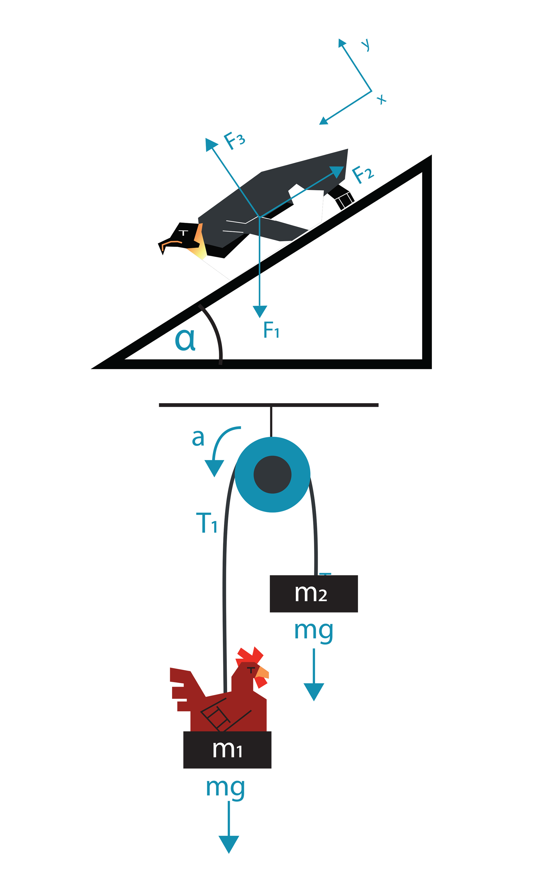 Physics Fowl