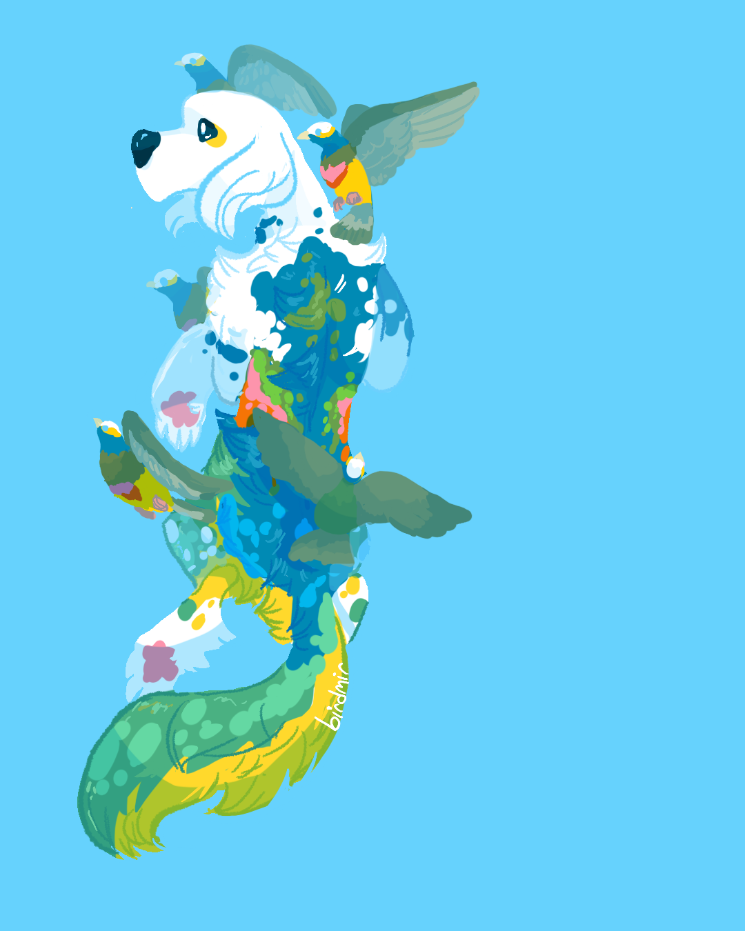 Coronated Fruit Dove + English Setter