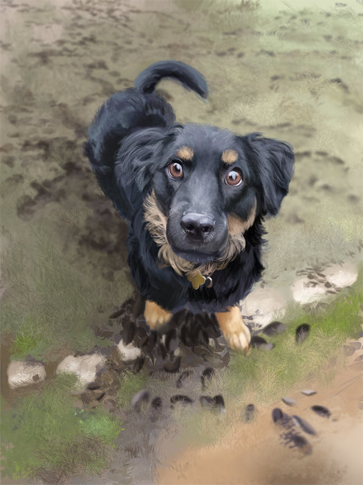 Tony Dog