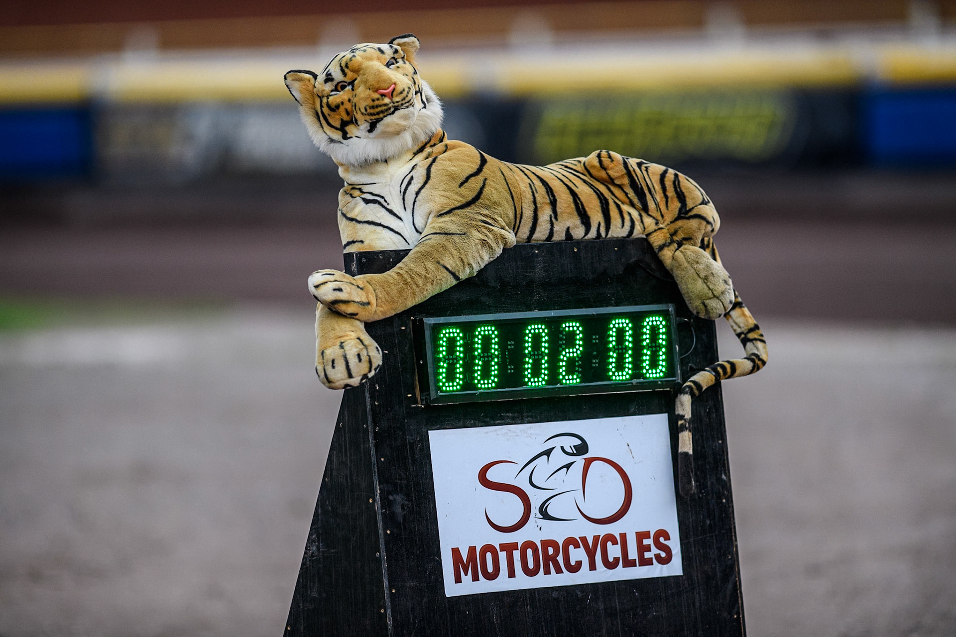 The Sheffield Tiger Mascot on the Two Minute Clock at Owlerton during the Rowe Motor Oil Premiership match between Sheffield Tigers and Belle Vue Aces at Owlerton Stadium, Sheffield on Monday 26th August 2024. (Photo: Ian Charles | MI News)