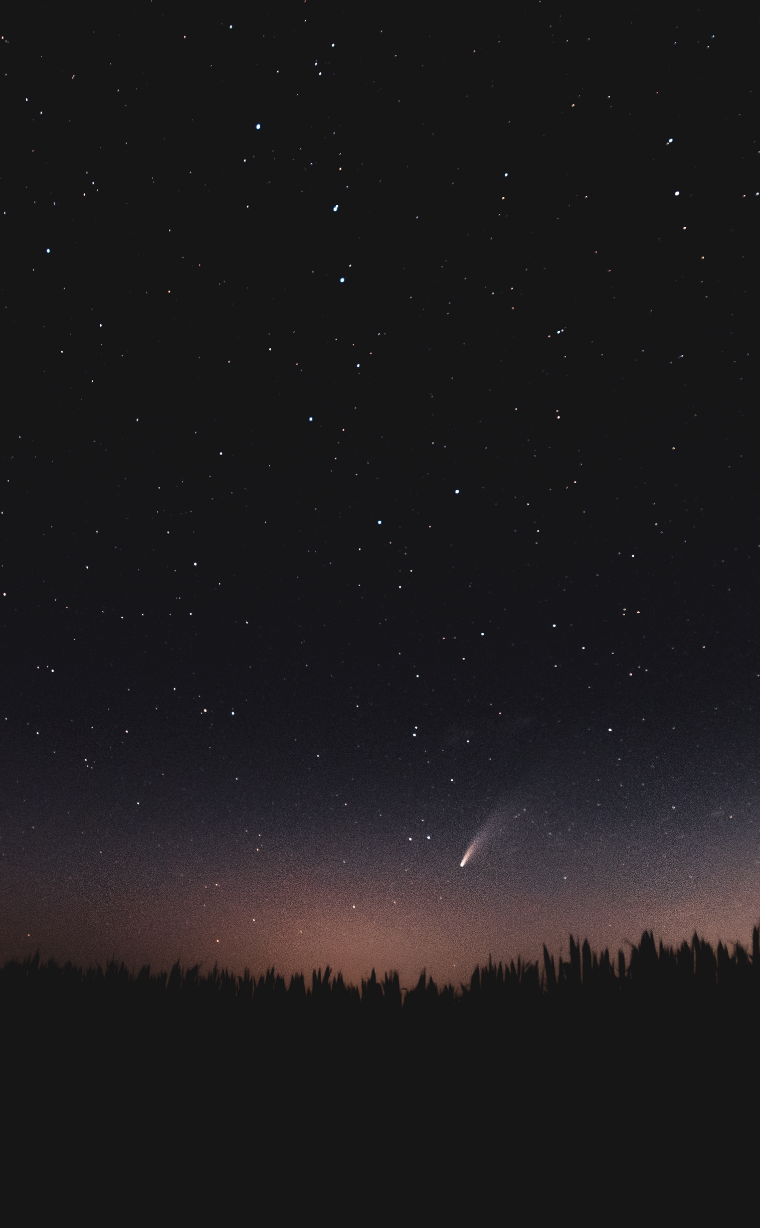 NEOWISE Comet
