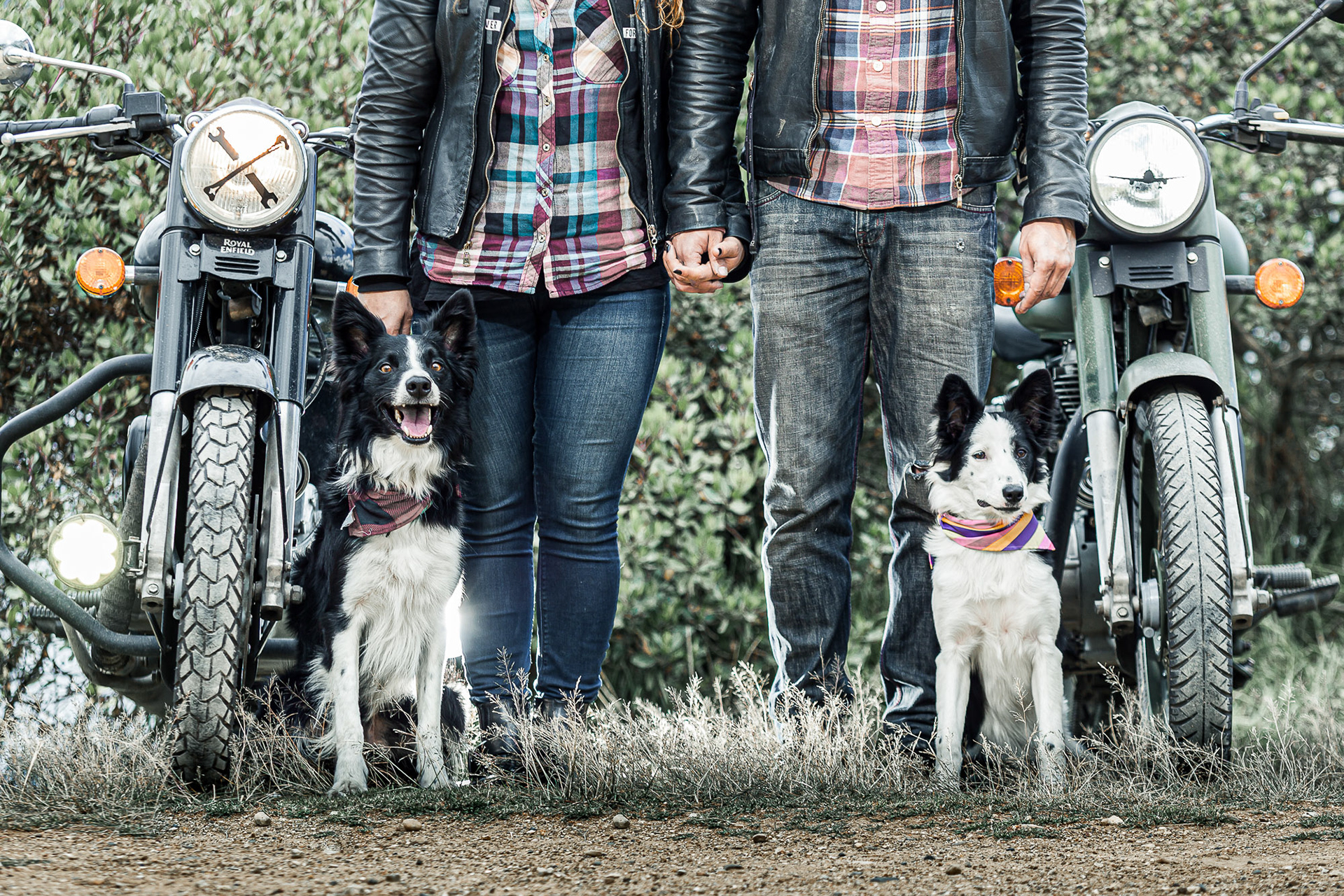 Foto: Gustavo A. Montaño