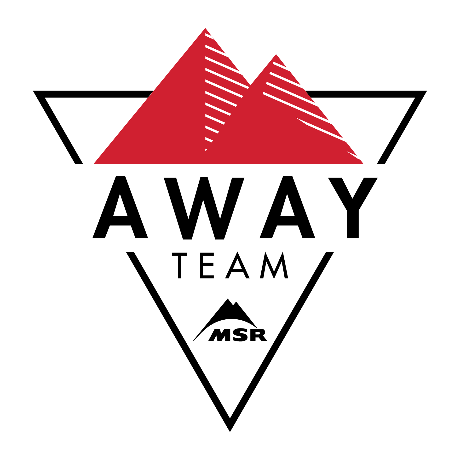 Ambassador team logo for MSR.