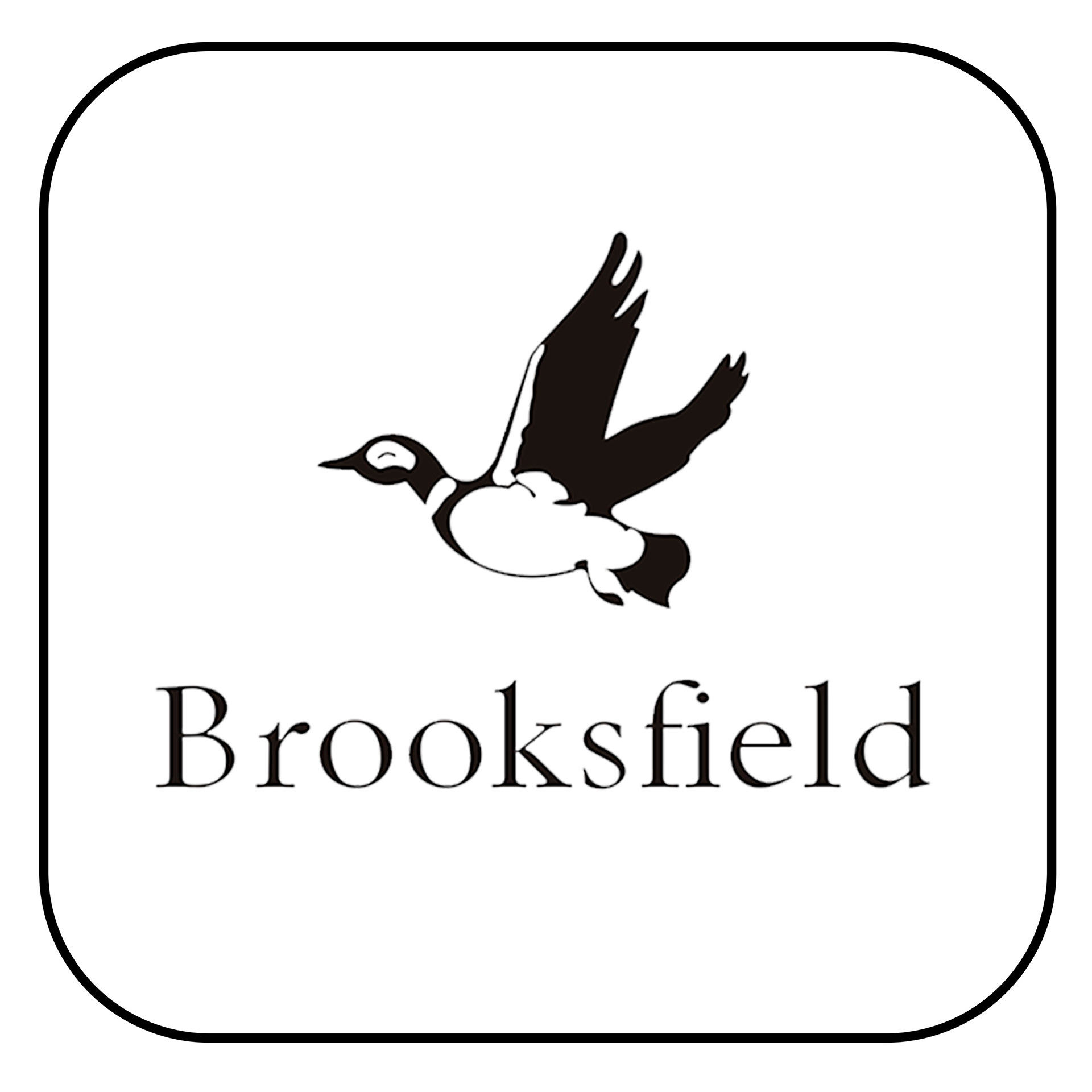Corporate photographer
