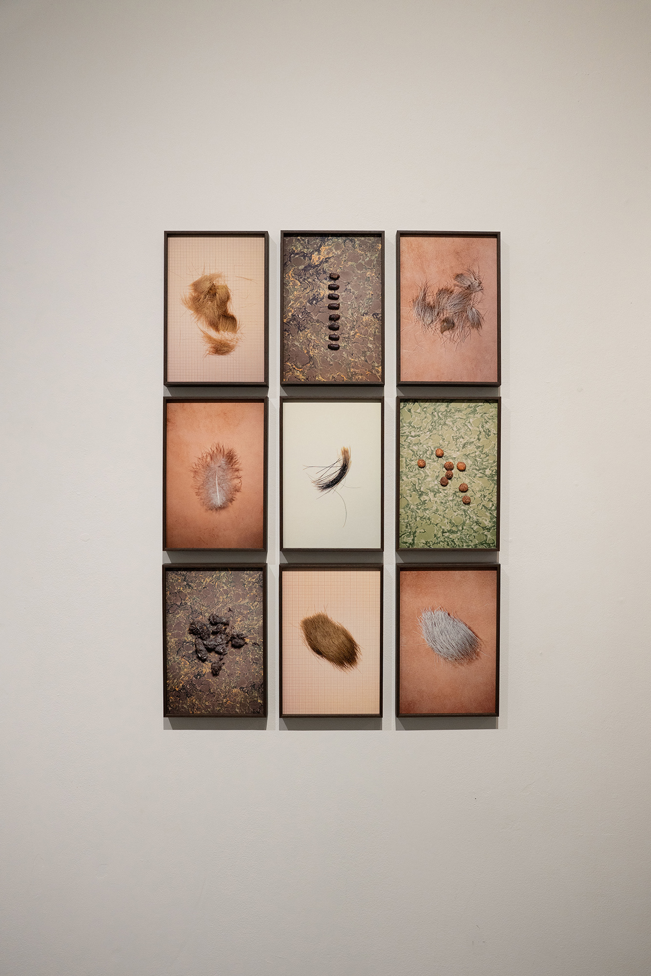 "Lire les lignes du Monde", Festival Photo Saint Germain x le CNAP, Paris, 2023