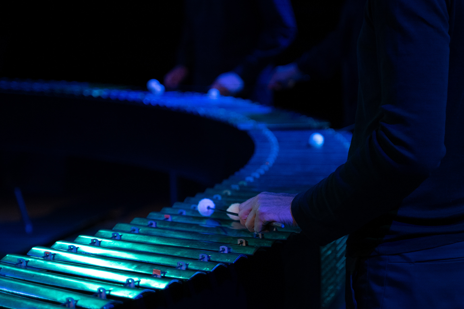 Les insectes, Auditorium de la Maison de la Radio, 2022