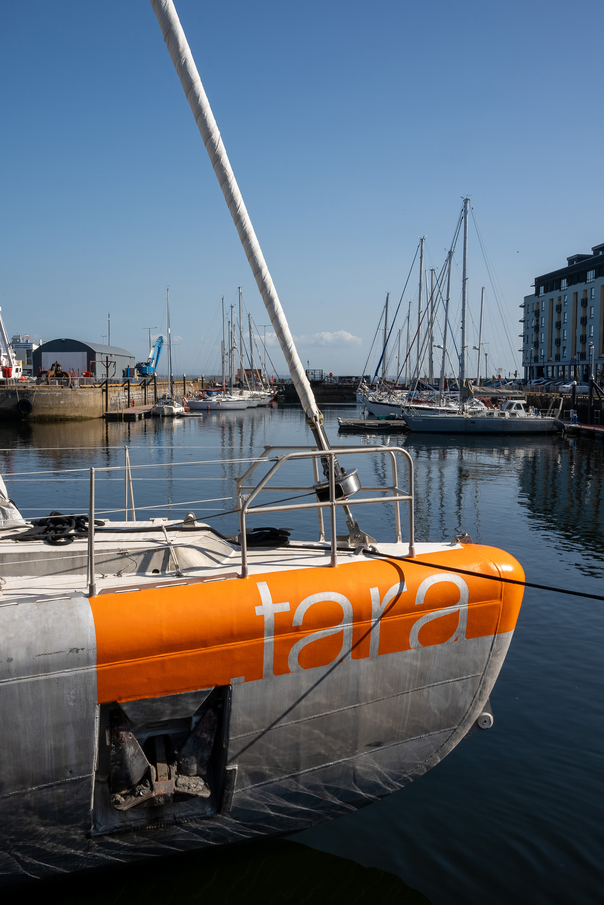 Tara dans le port de Galway, Irlande, 2023