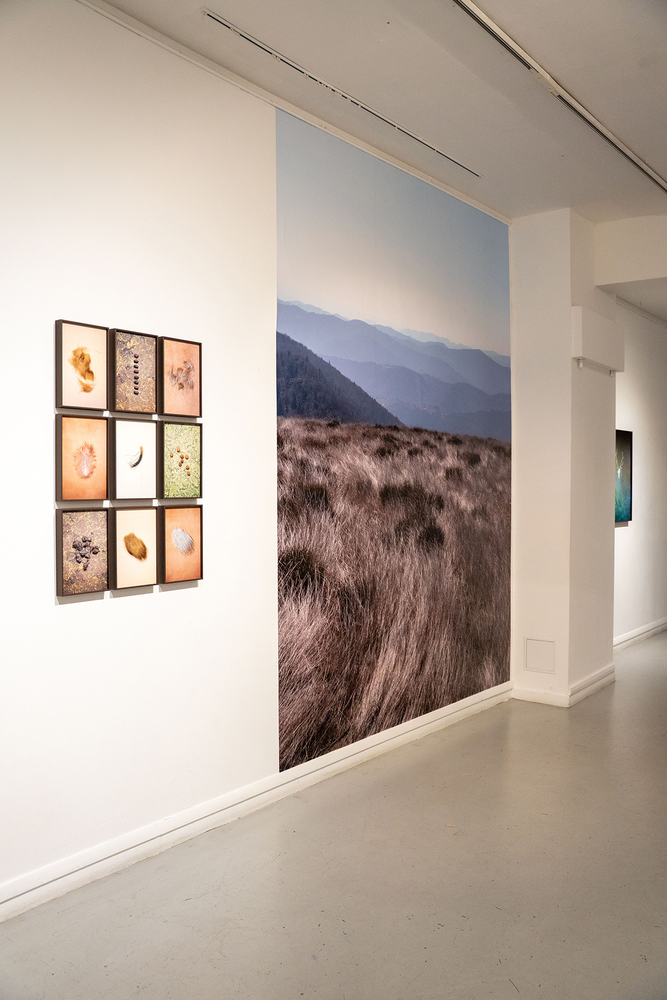 "Lire les lignes du Monde", Festival Photo Saint Germain x le CNAP, Paris, 2023