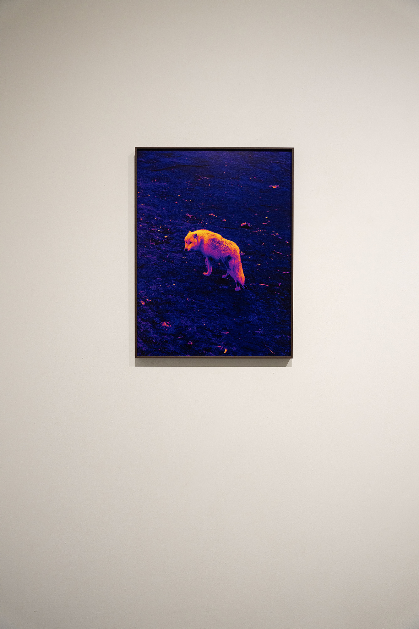 "Lire les lignes du Monde", Festival Photo Saint Germain x le CNAP, Paris, 2023