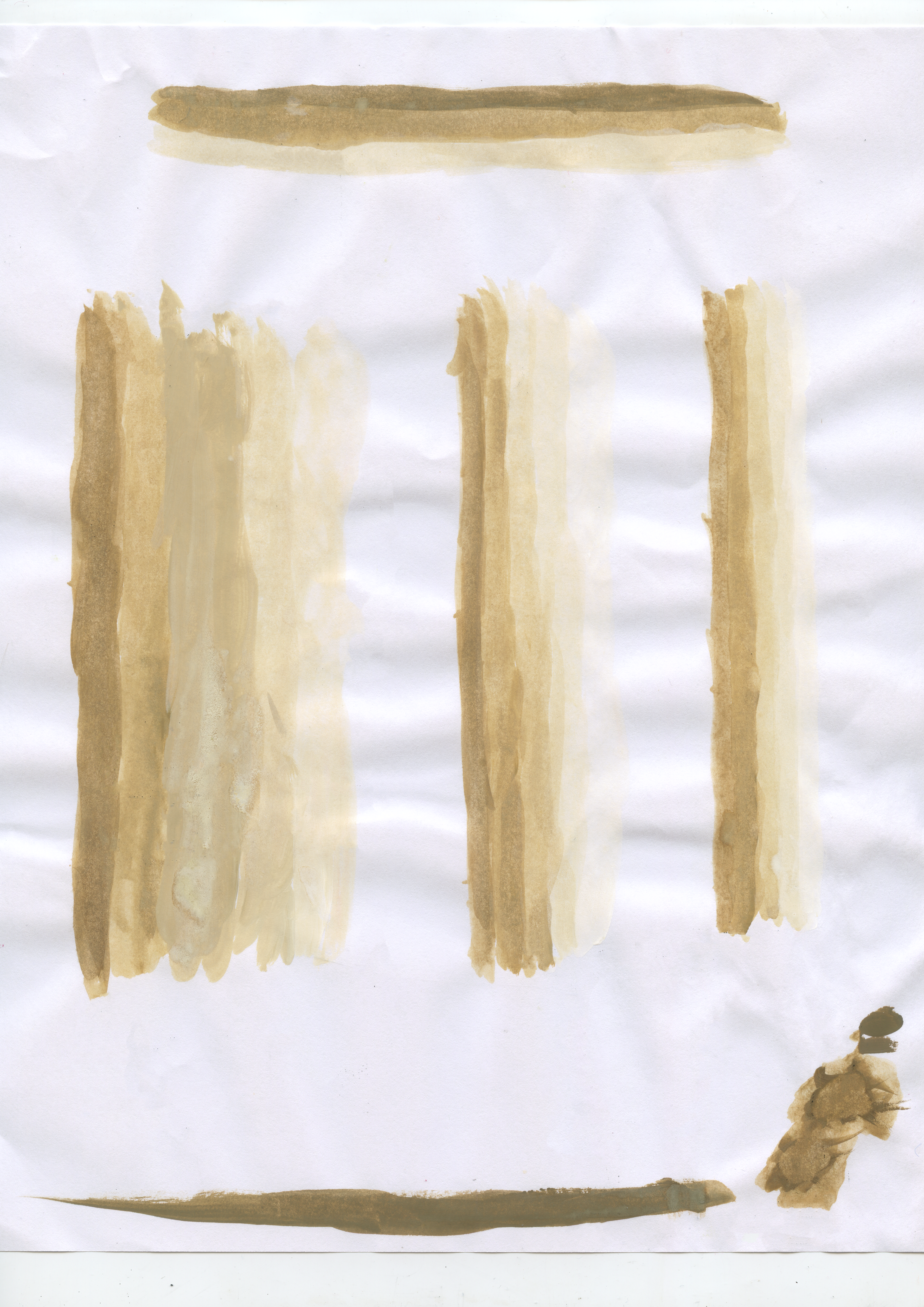 Color Palette & Borders