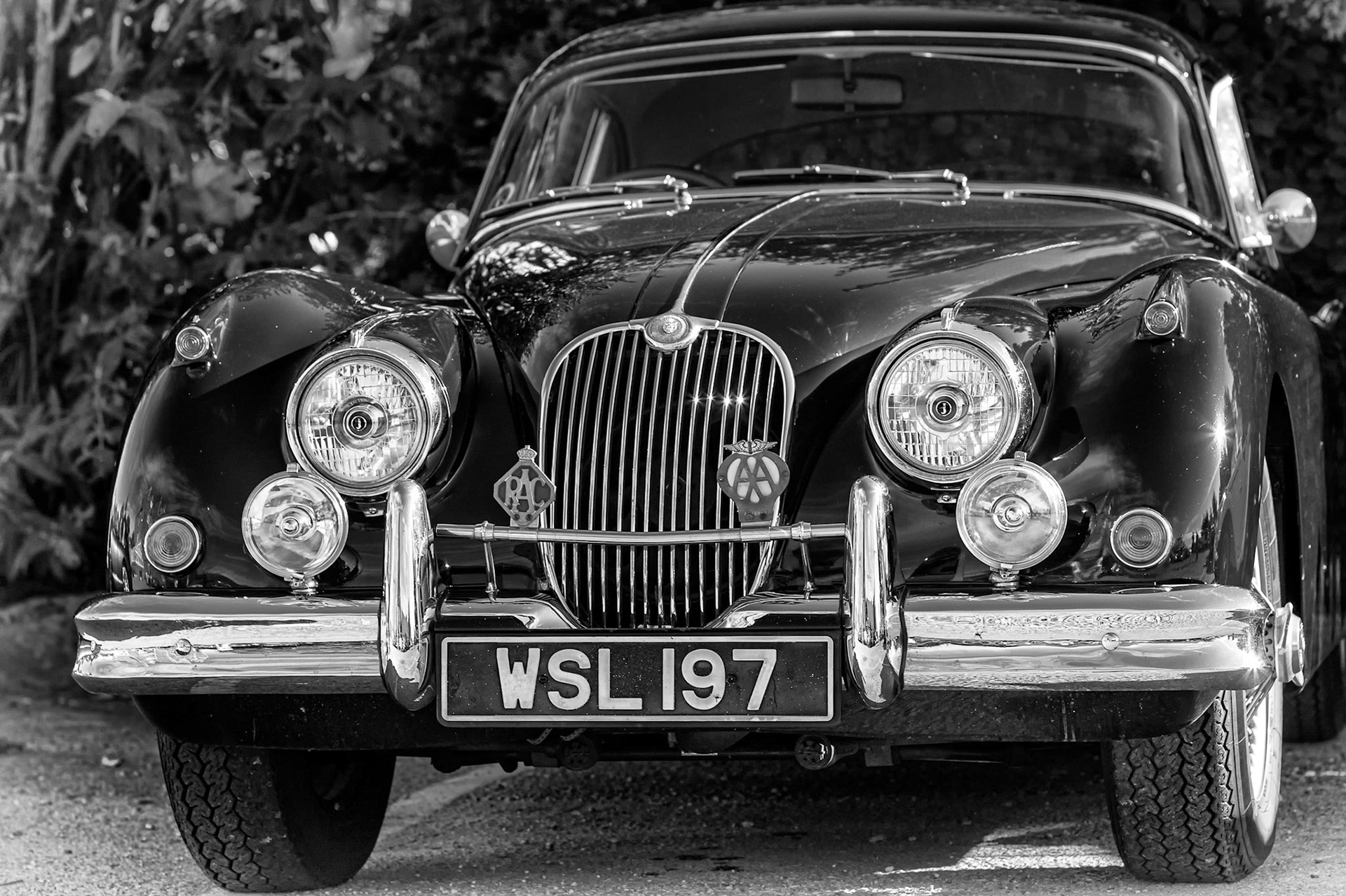 Jag