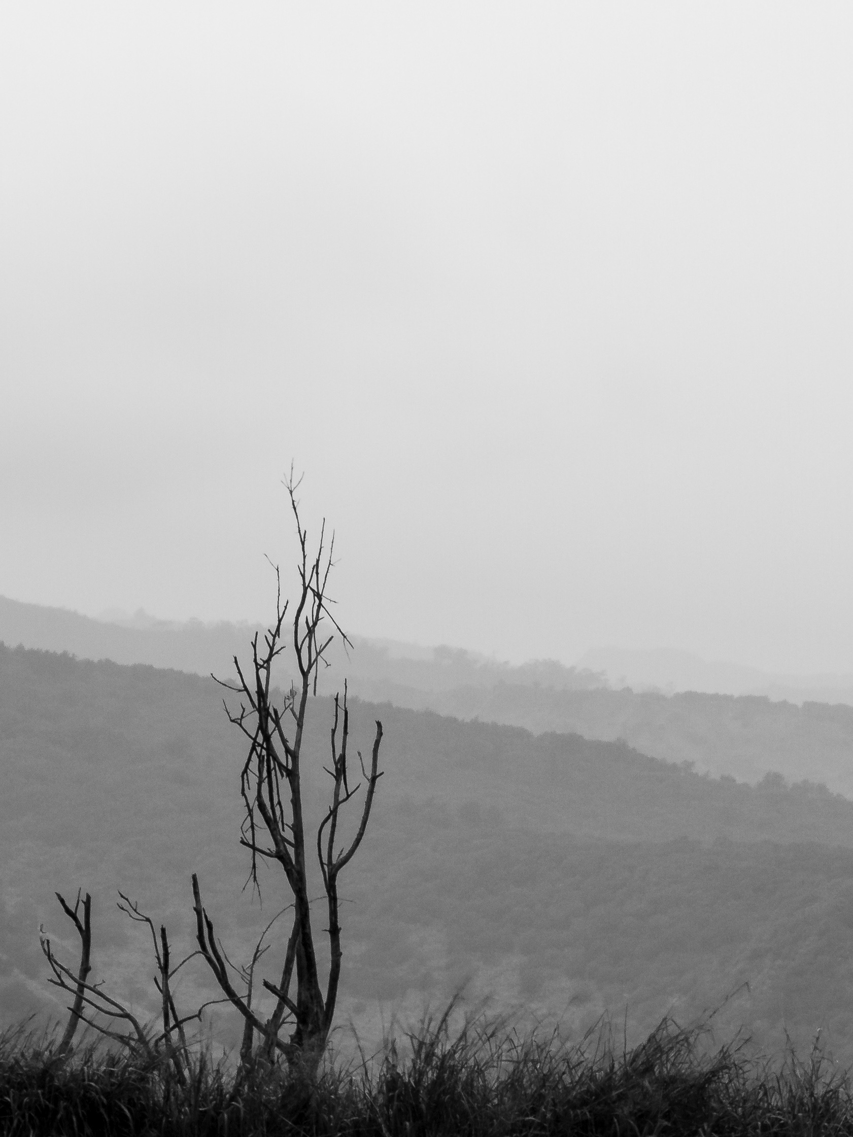 The calm before the storm