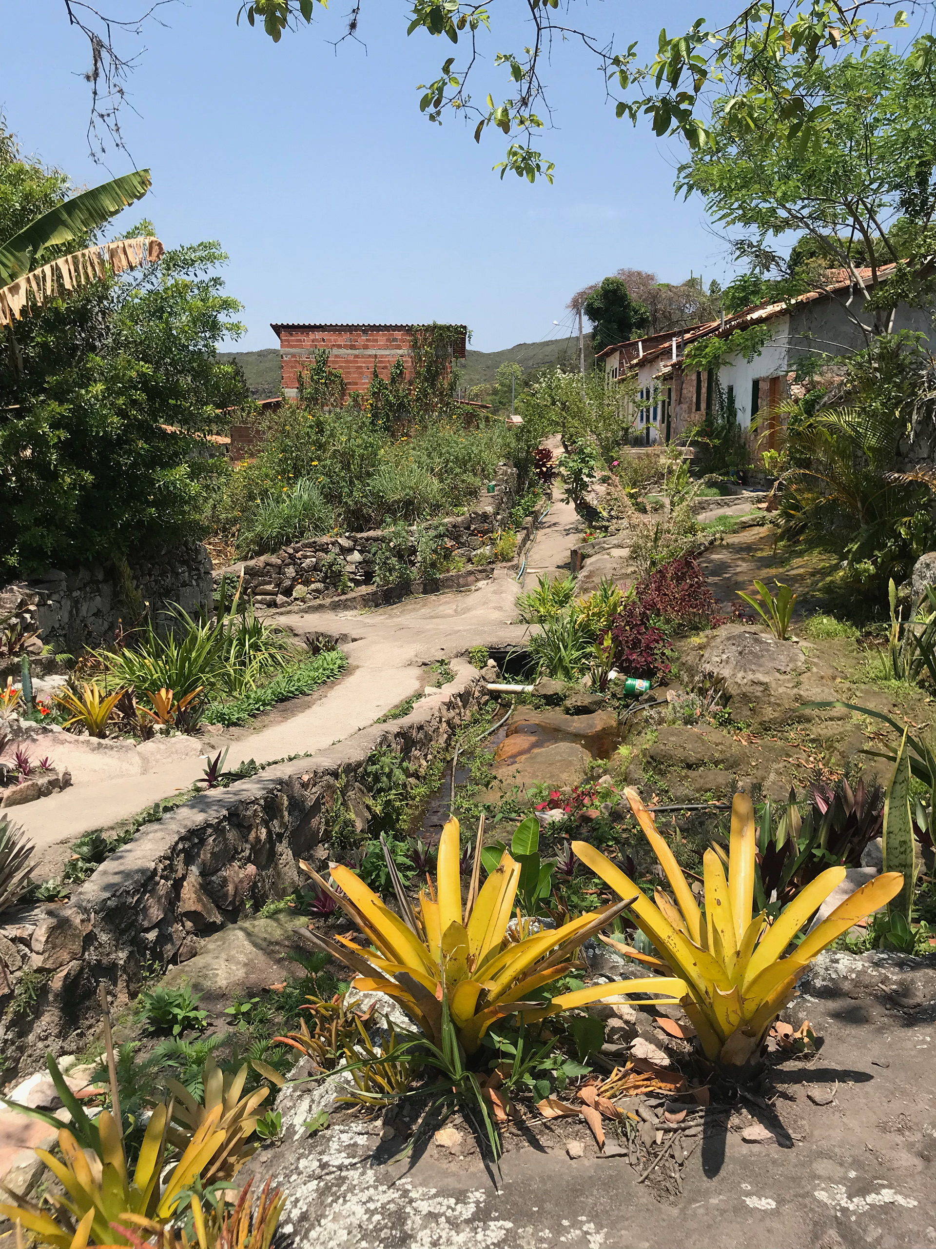 Jardim comunitário de Igatu