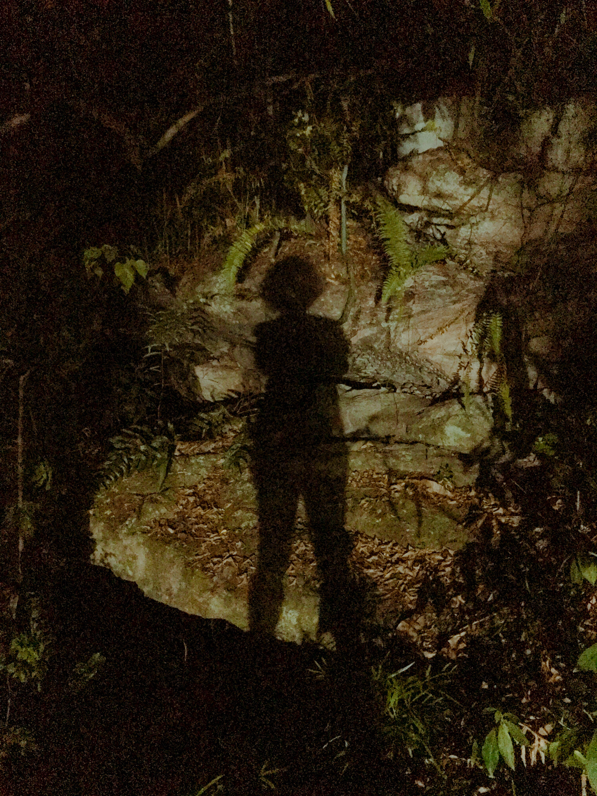 sombras