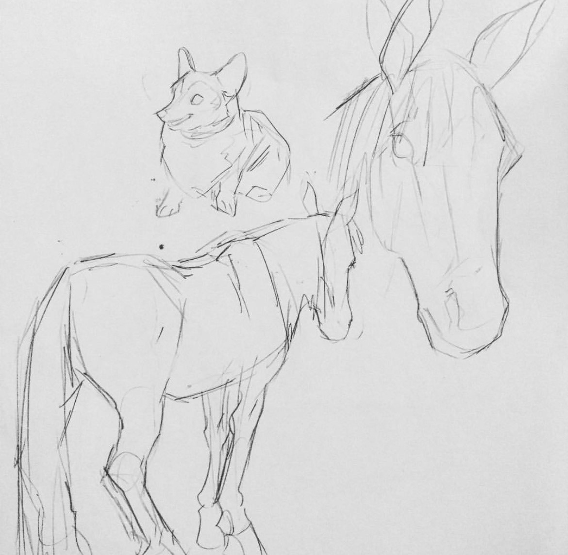 royal winter fair 2019
