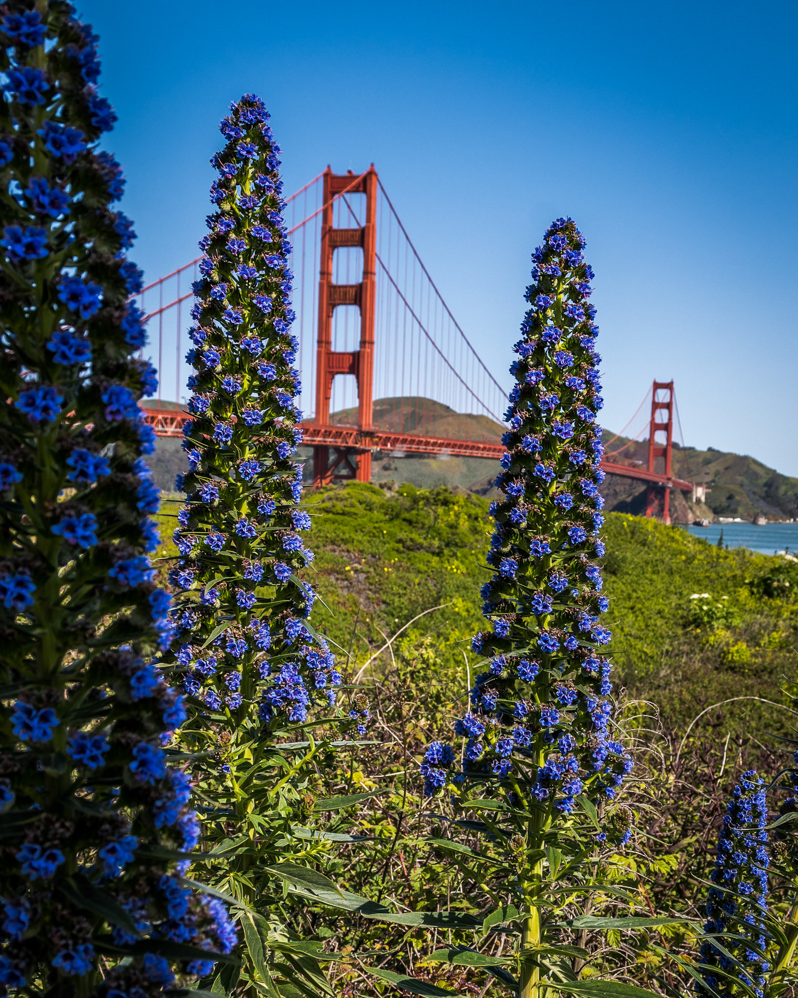 Golden Gate Bridge