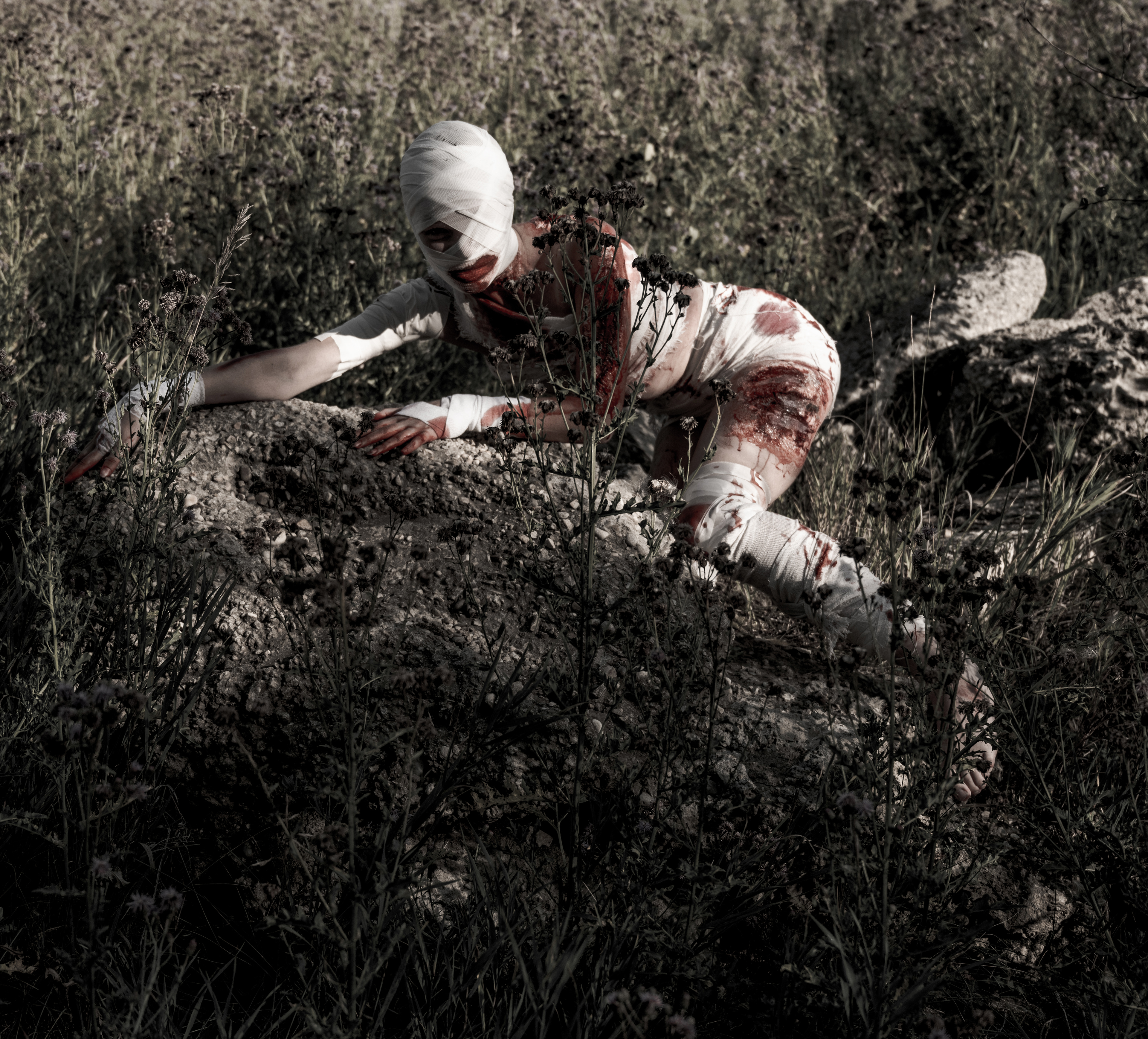 PREDISPOSED TO HEMMORHAGING (2025) [A]