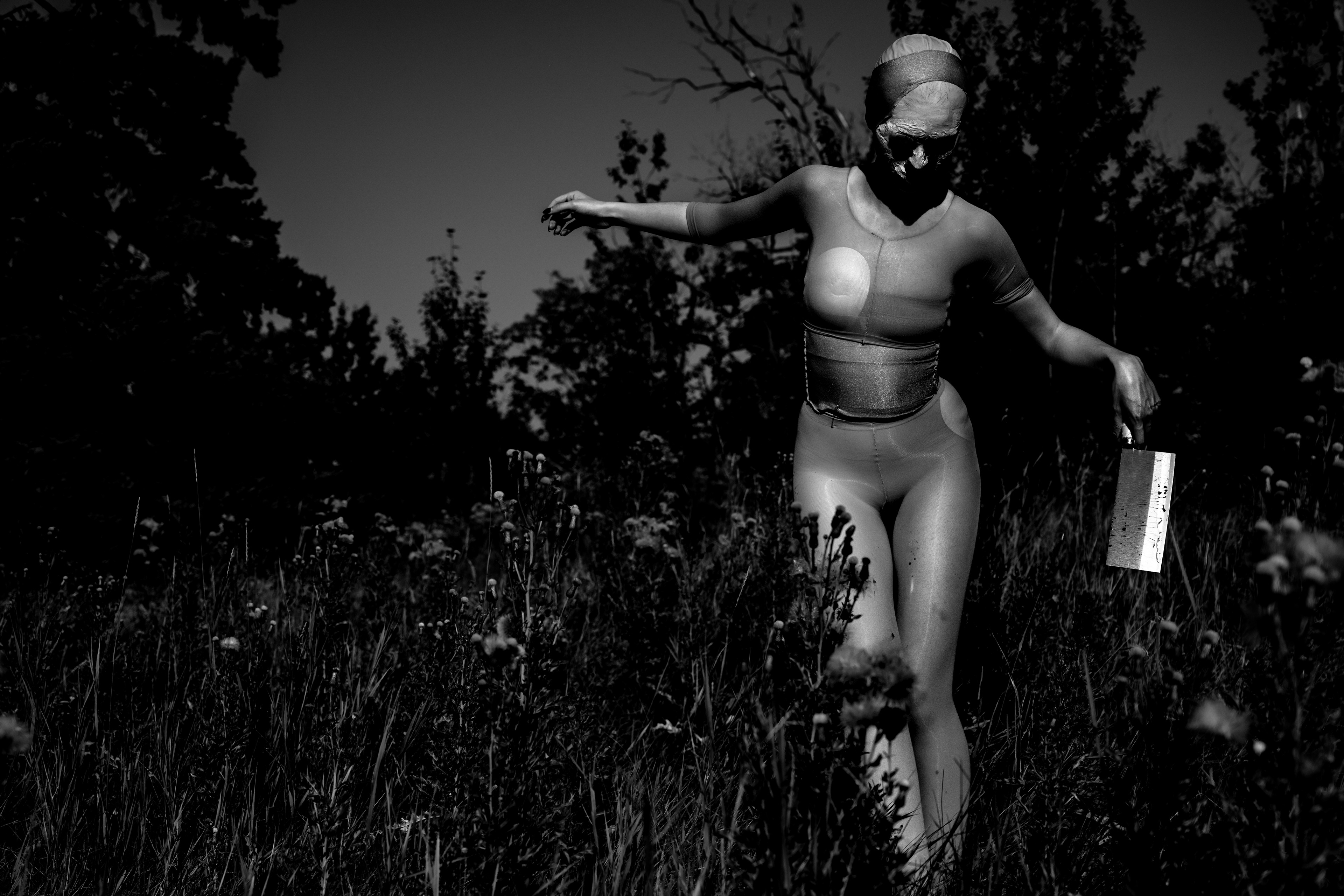 PREDISPOSED TO HEMMORHAGING - mono ver. (2025) [A]