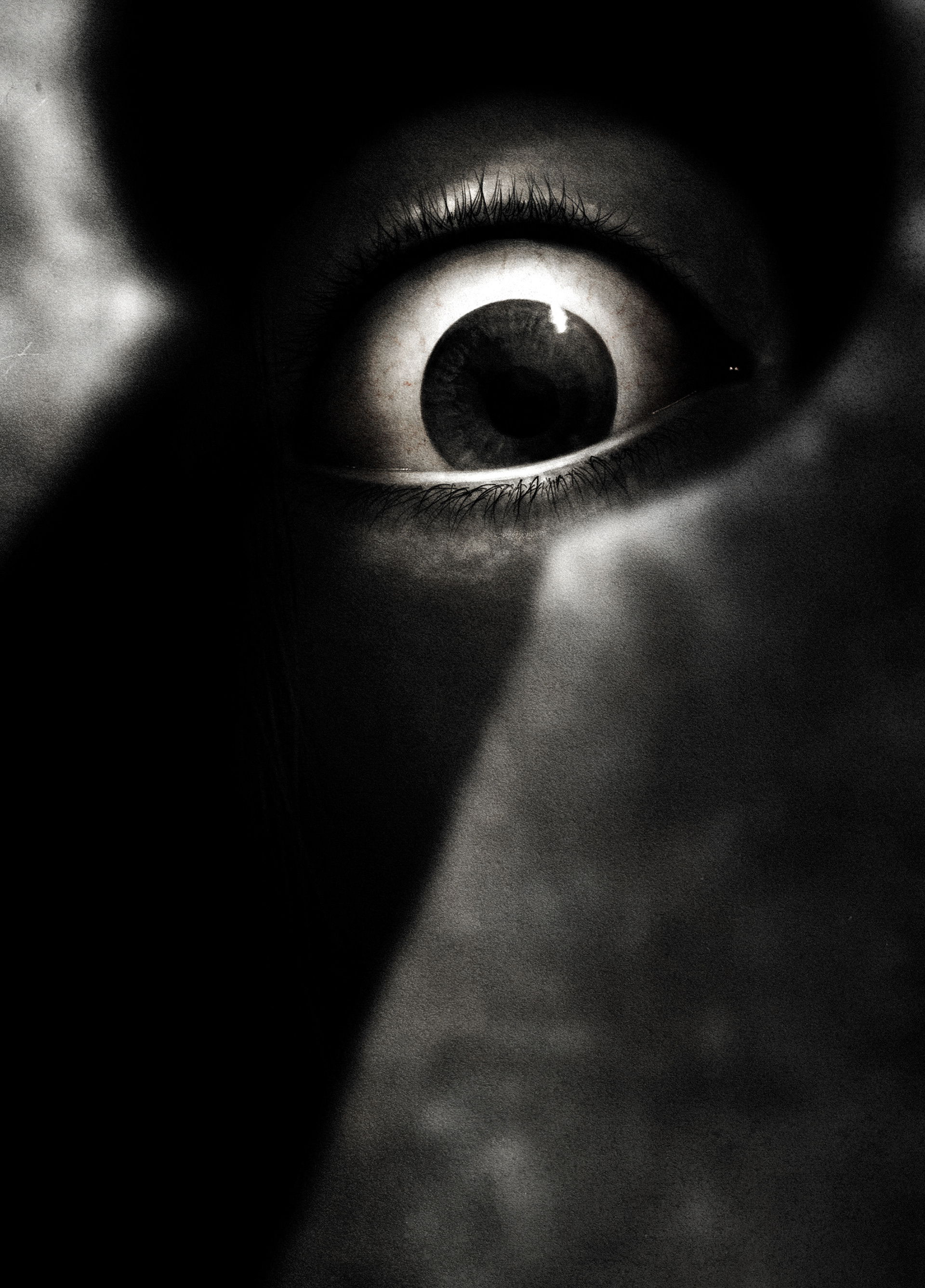 YUREI (2026)