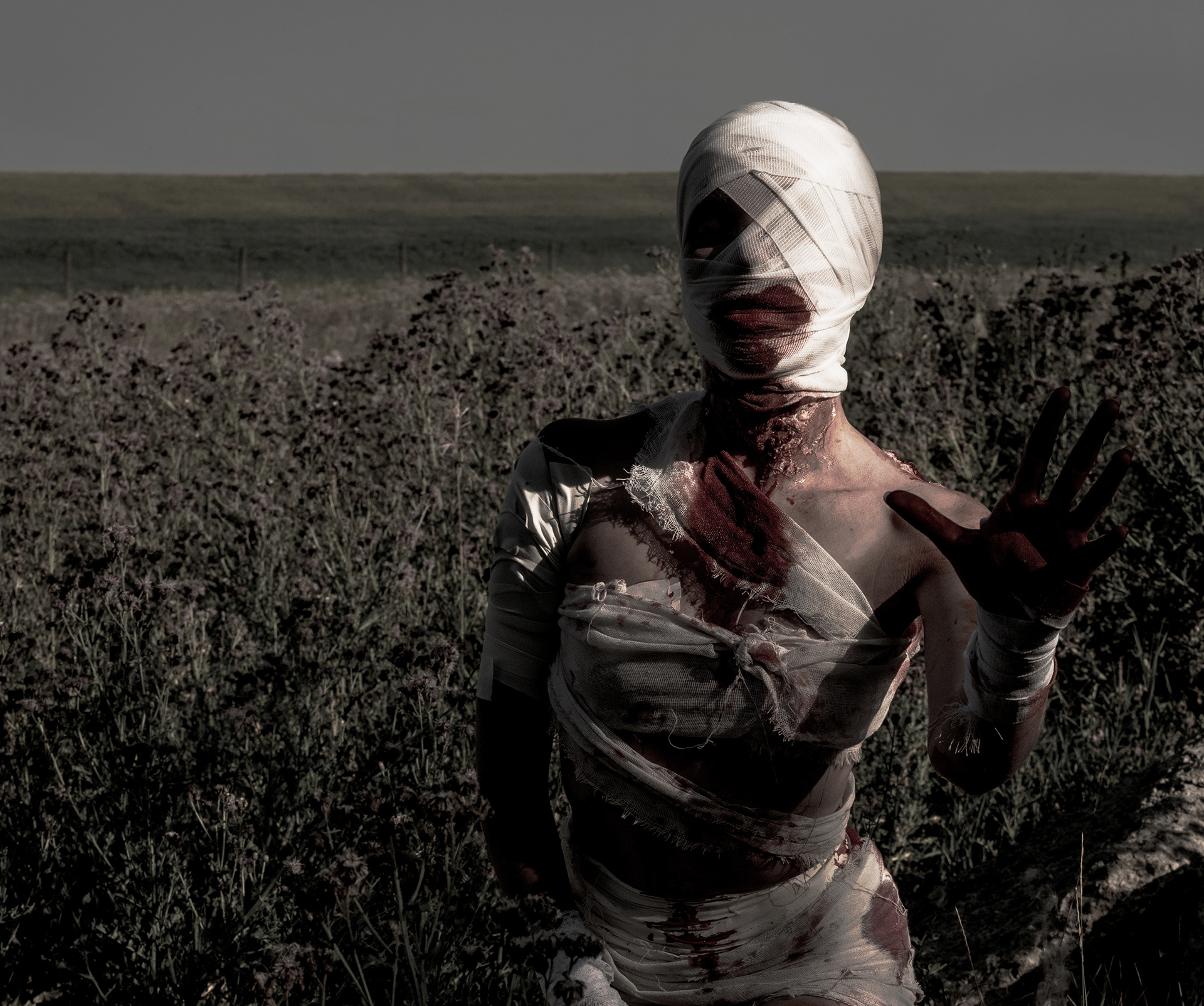 PREDISPOSED TO HEMMORHAGING (2025) [A]