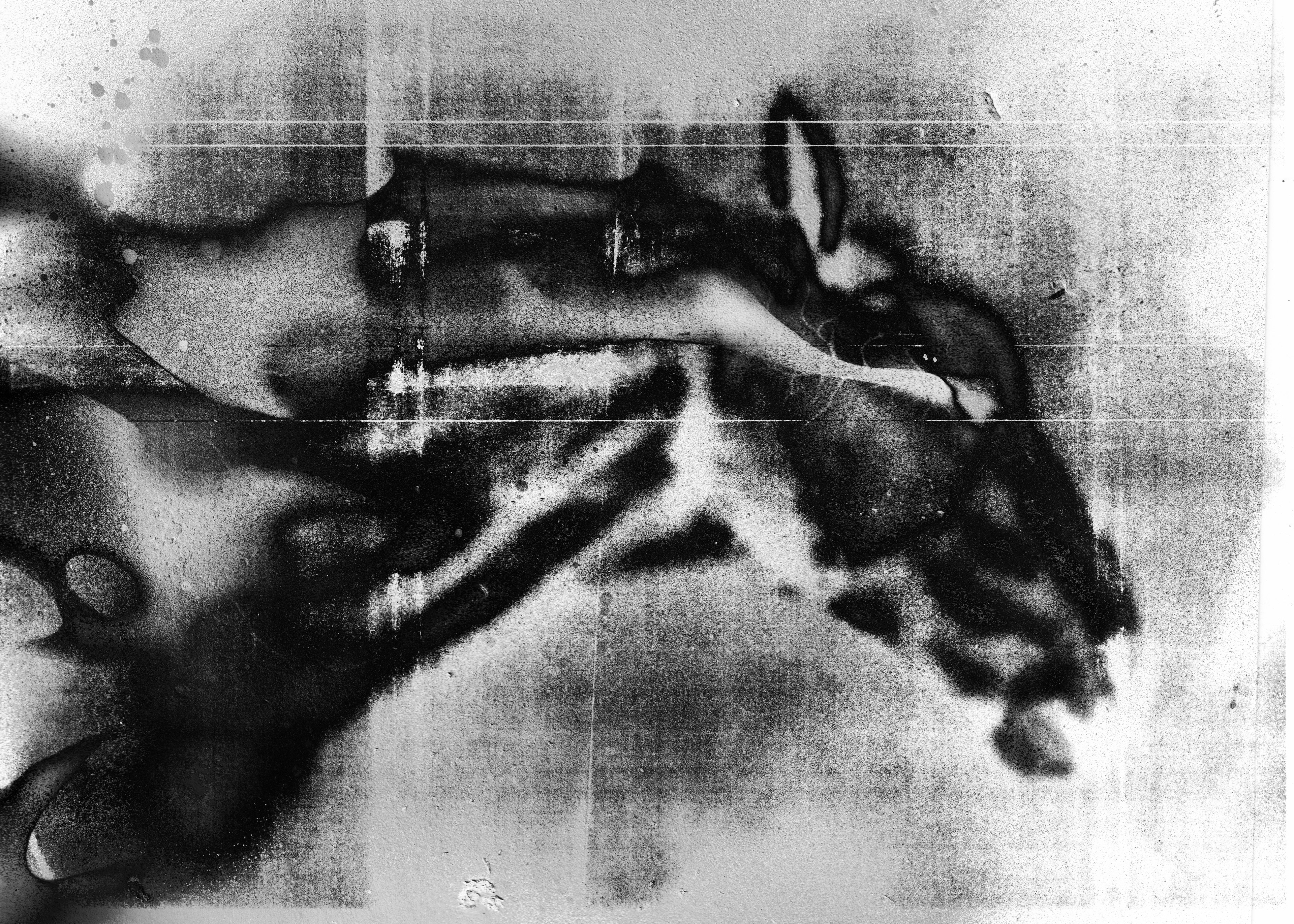 PREMONITION & SACRILEGE (2024) [A]