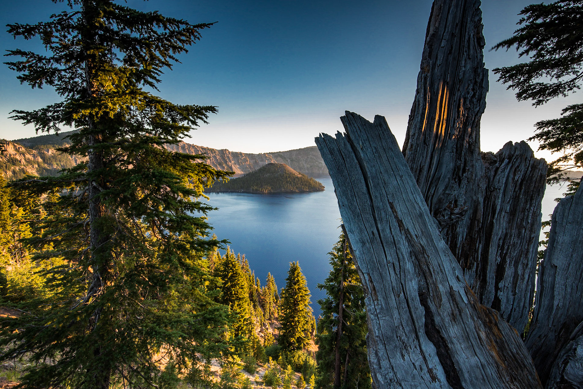 Wizard island peers through the trees in Crater Lake National Park, OR.