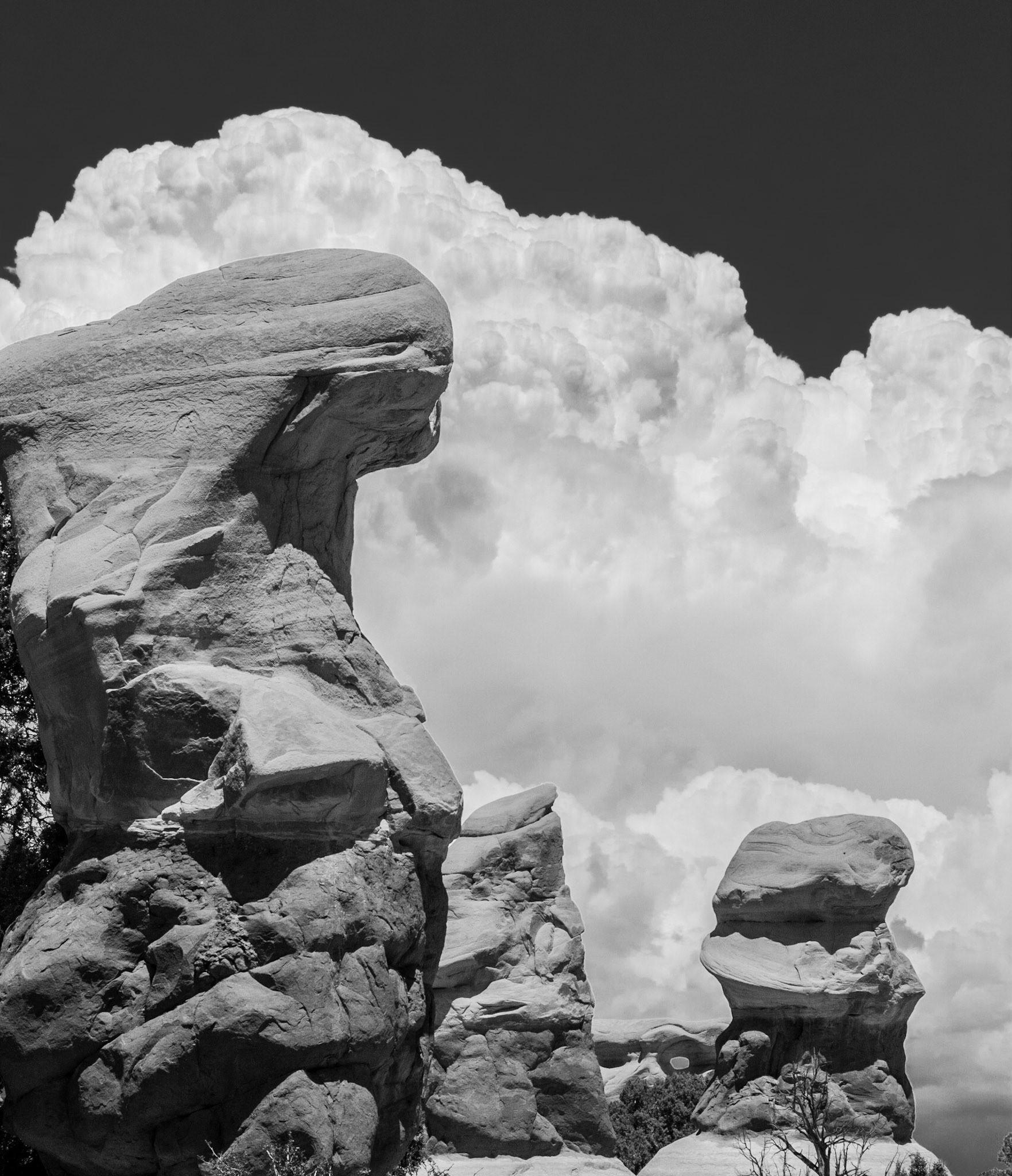 A summer thundercloud builds over  Devil's Garden in the Grand Staircase-Escalante National Monument in south central Utah.