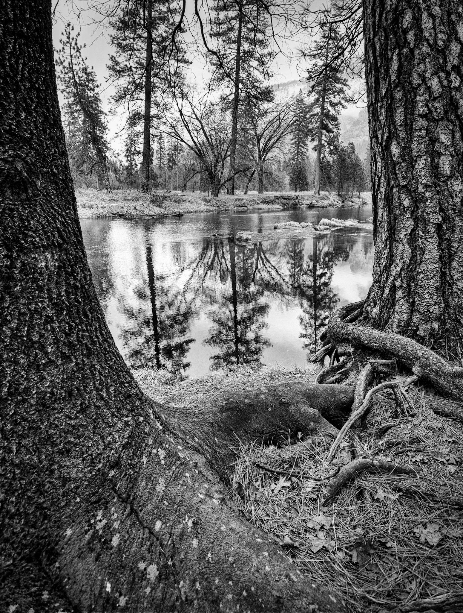Yosemite National Park, CA
