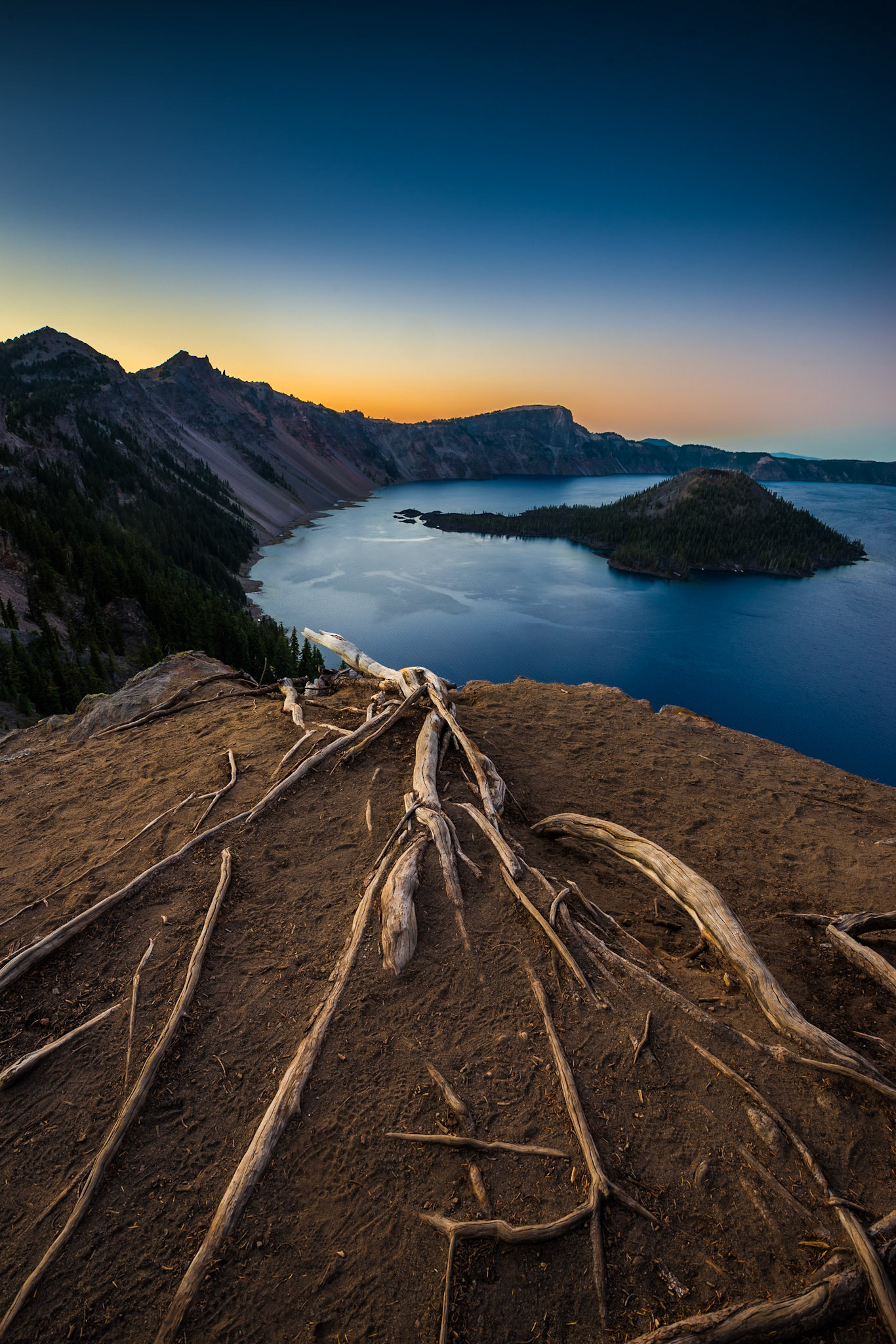 Weathered tree roots on a cliff overlooking Wizard Island in Crater Lake national Park, OR.