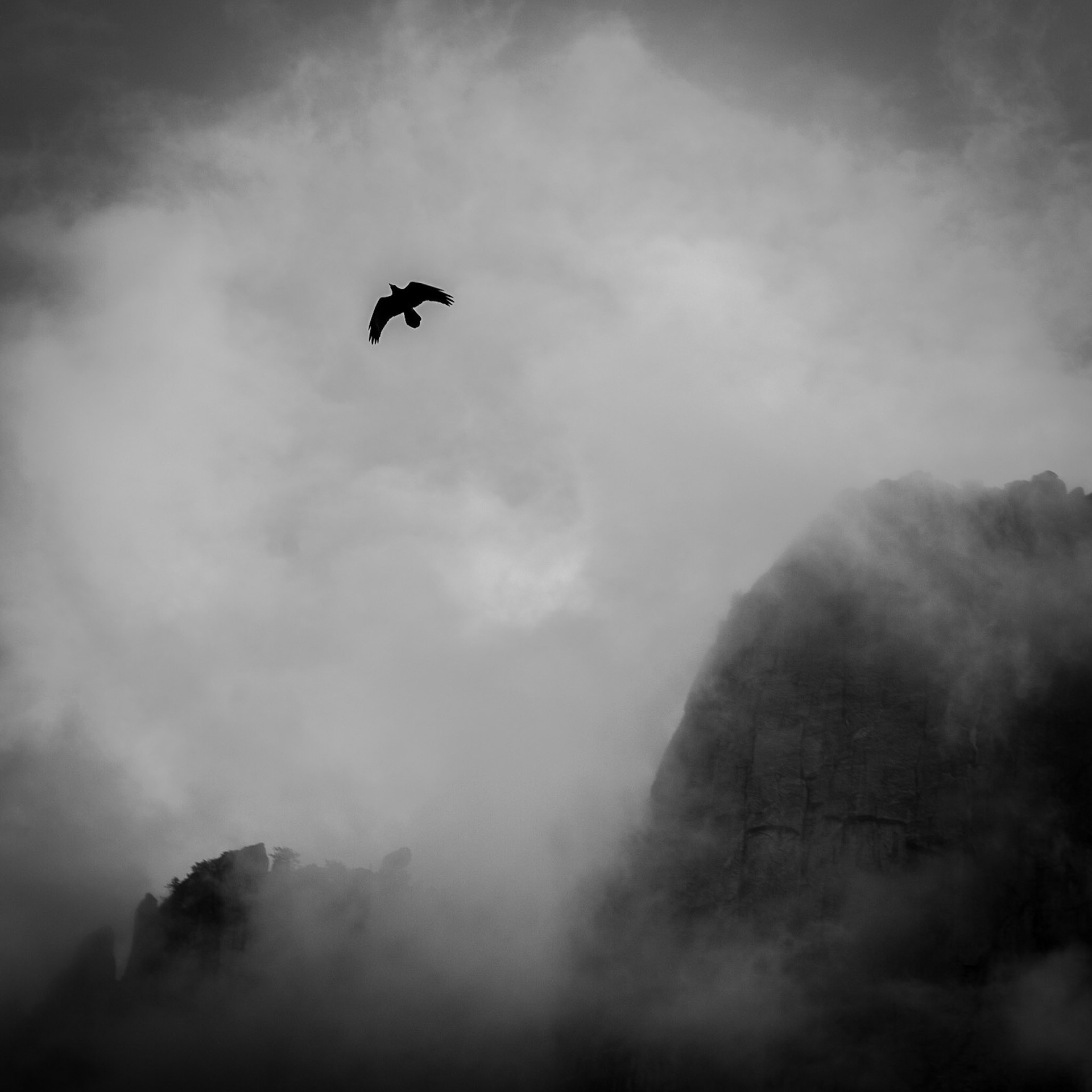 Yosemite National Park, CA