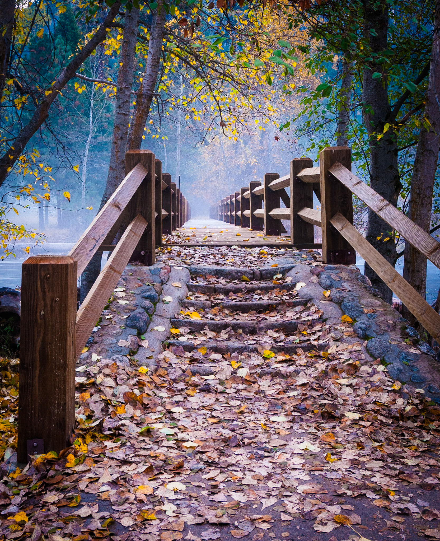 Sentinal Bridge spans the Merced River on a misty fall morning in Yosemite national Park, CA.