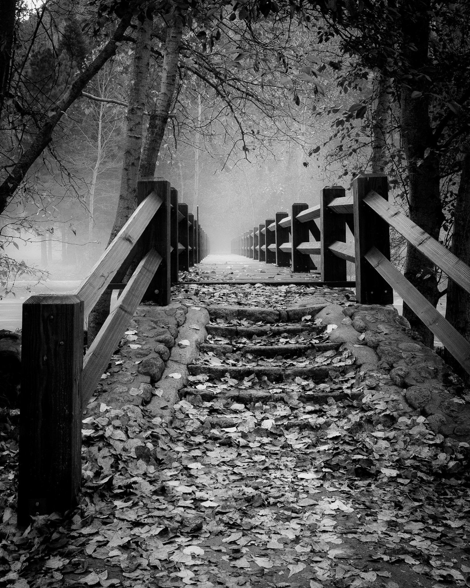 Sentinal Bridge spans the Merced River on a misty fall morning in Yosemite national Park, CA.