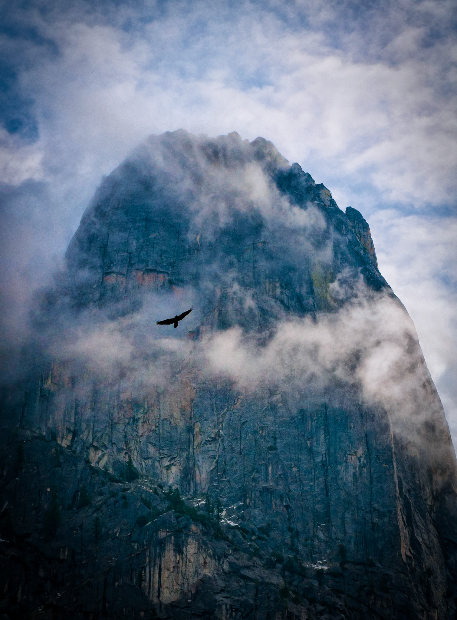 A bird soars among the mist shrouded cliffs above Yosemite Valley.