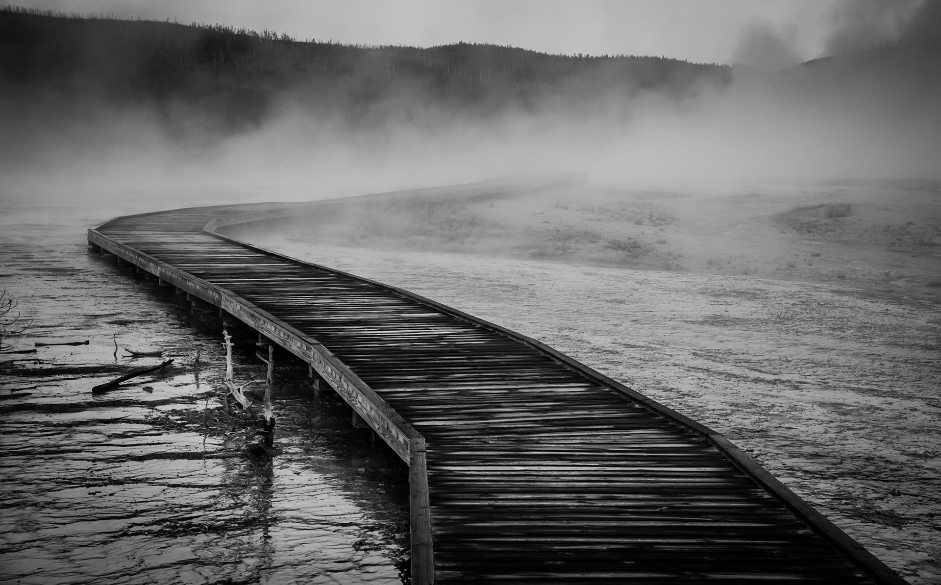 A boardwalk winds through Biscuit Basin, Yellowstone National Park.