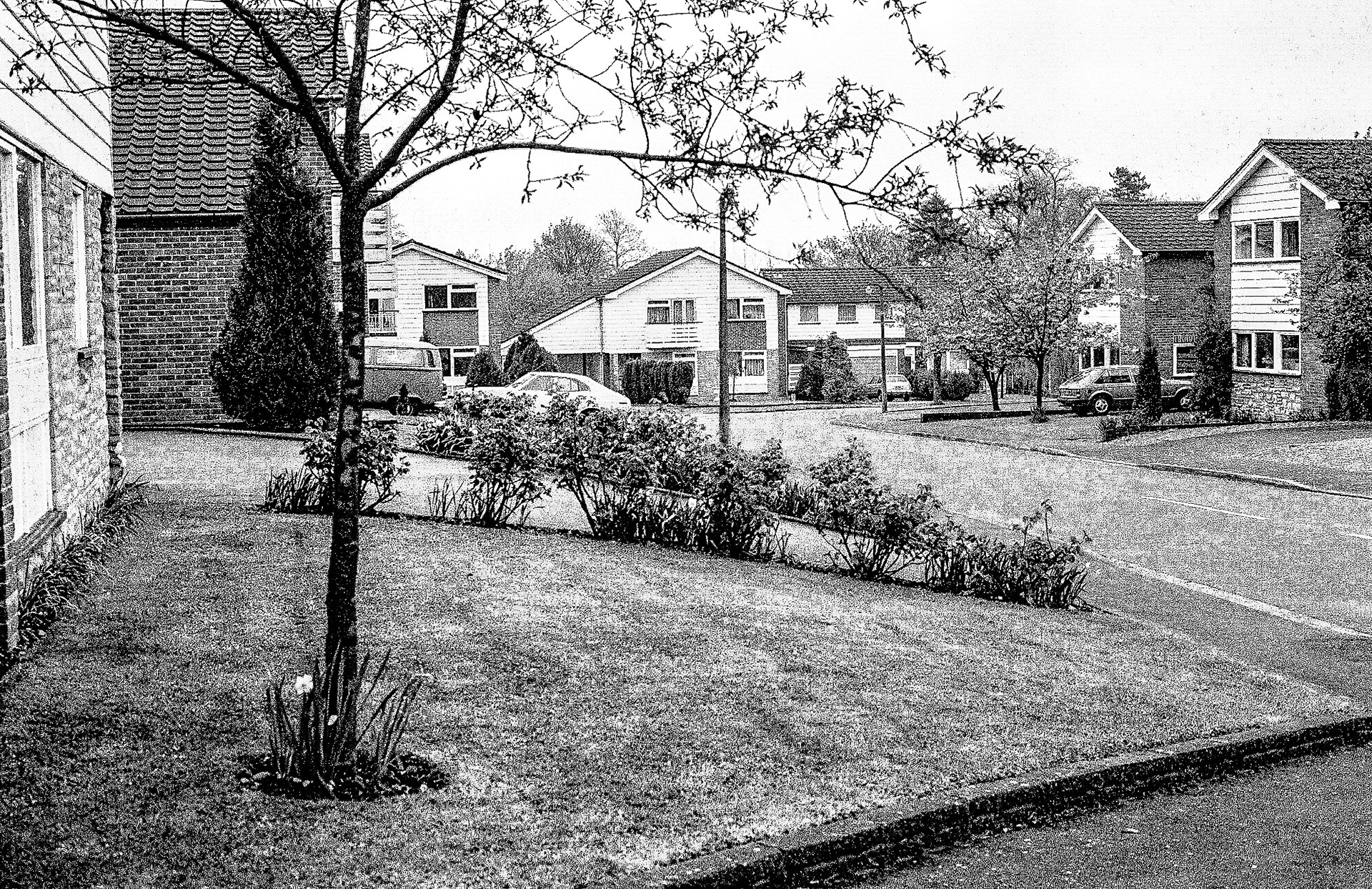 Hatchgate Gardens