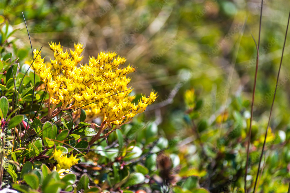 Photo by Lea Tyrrell | Available via Adobe Stock Images