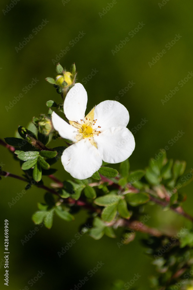 Photo by Lea Tyrrell | Available via Adobe Stock Images