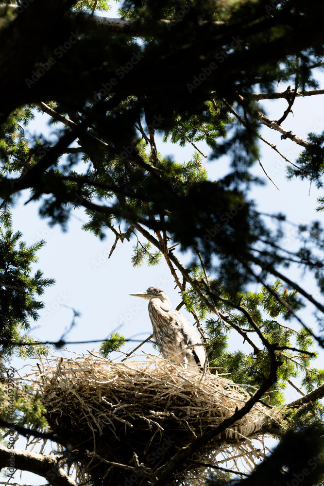 Photo by Lea Tyrrell | Available via Adobe Stock Images