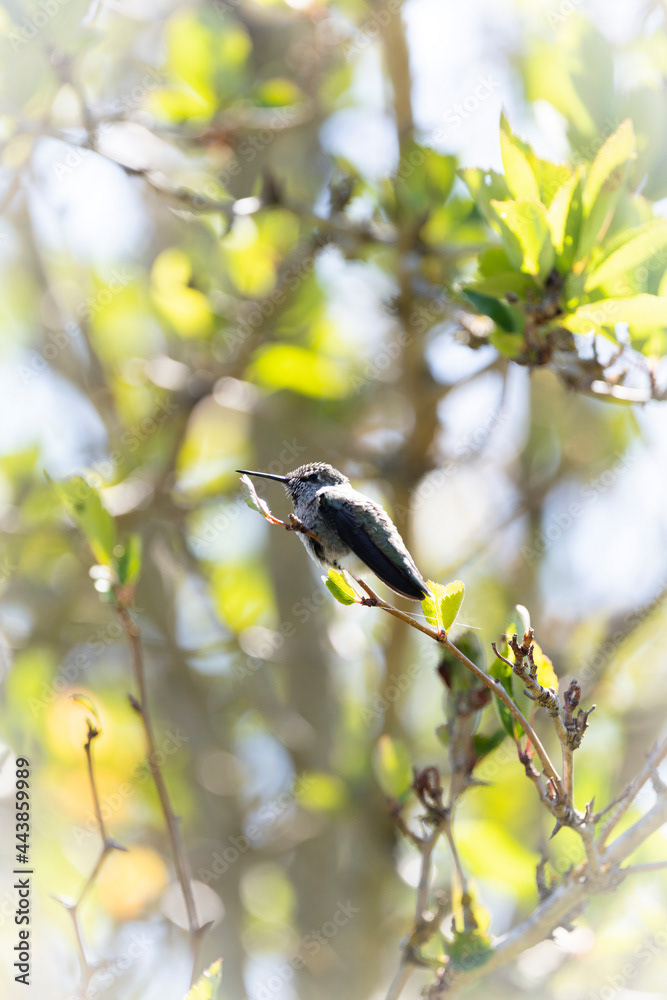 Photo by Lea Tyrrell | Available via Adobe Stock Images