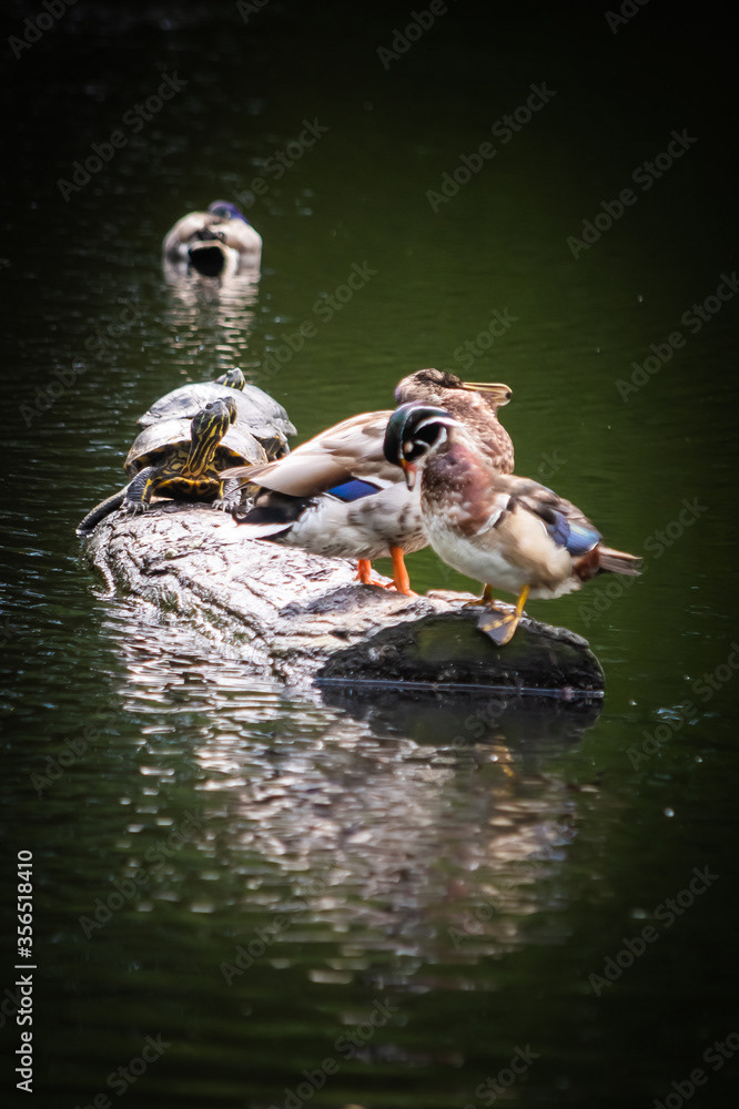 Photo by Lea Tyrrell | Available via Adobe Stock Images
